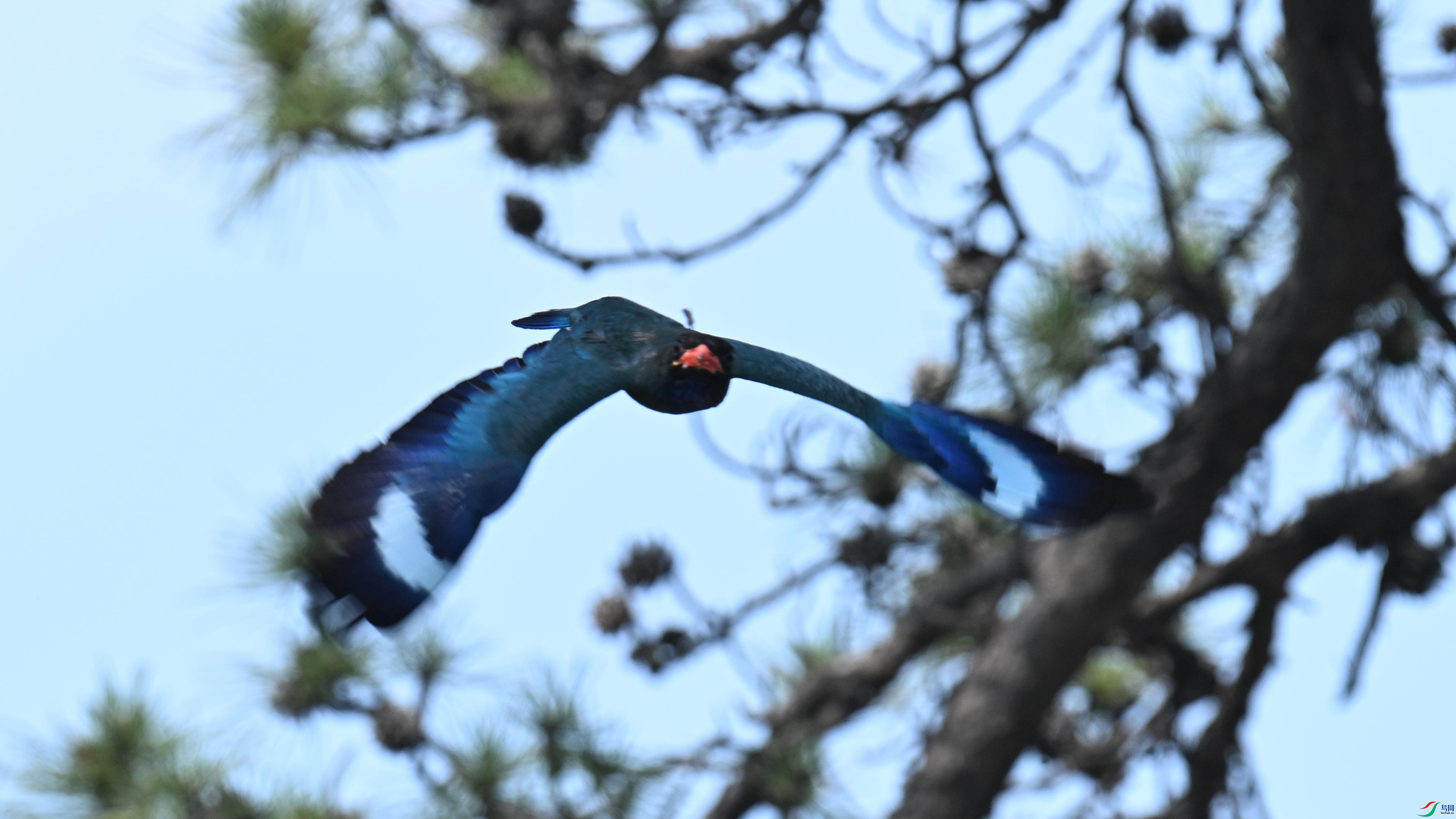 ������ (16).jpg