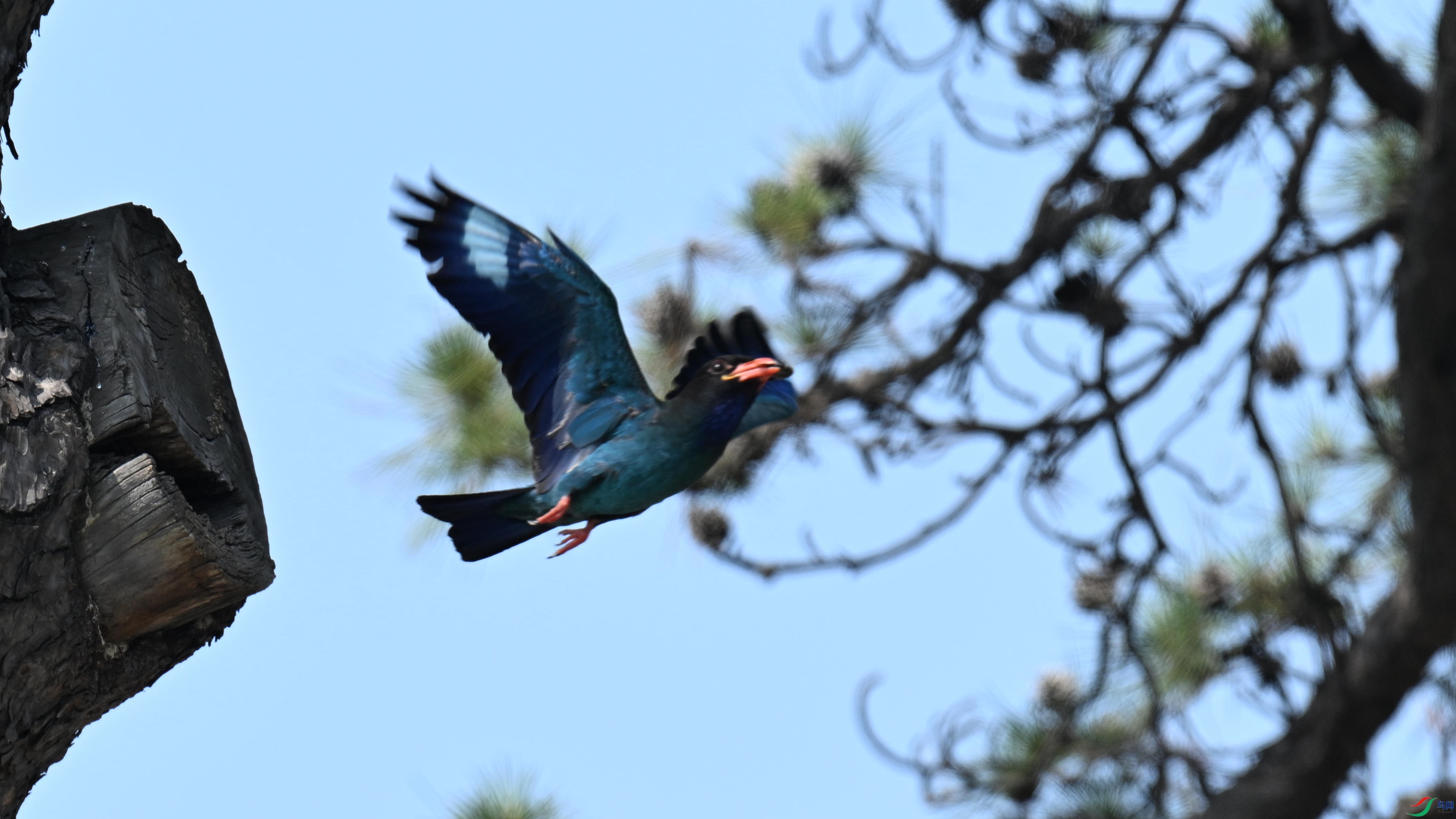 ������ (19).jpg