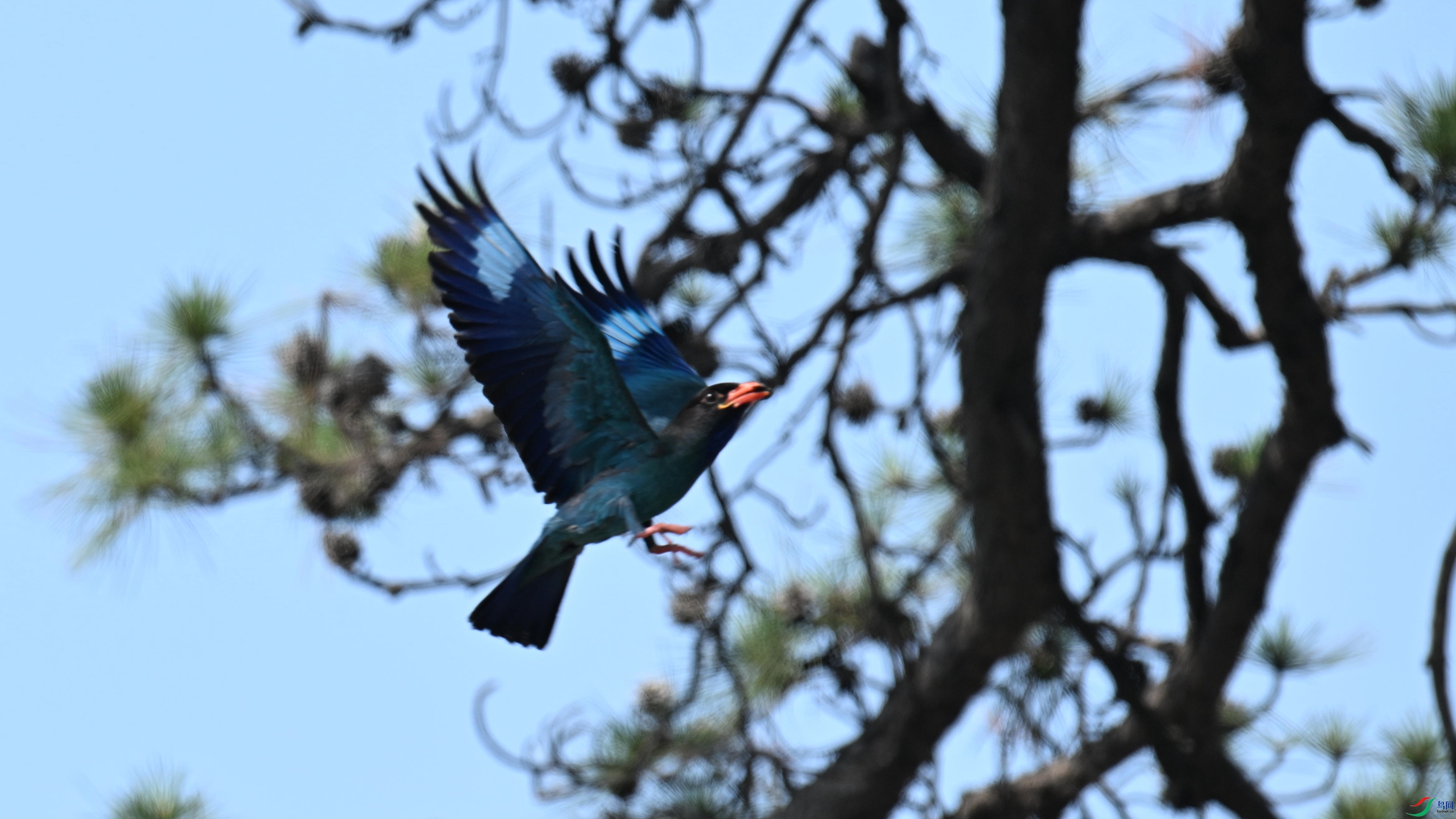 ������ (20).jpg