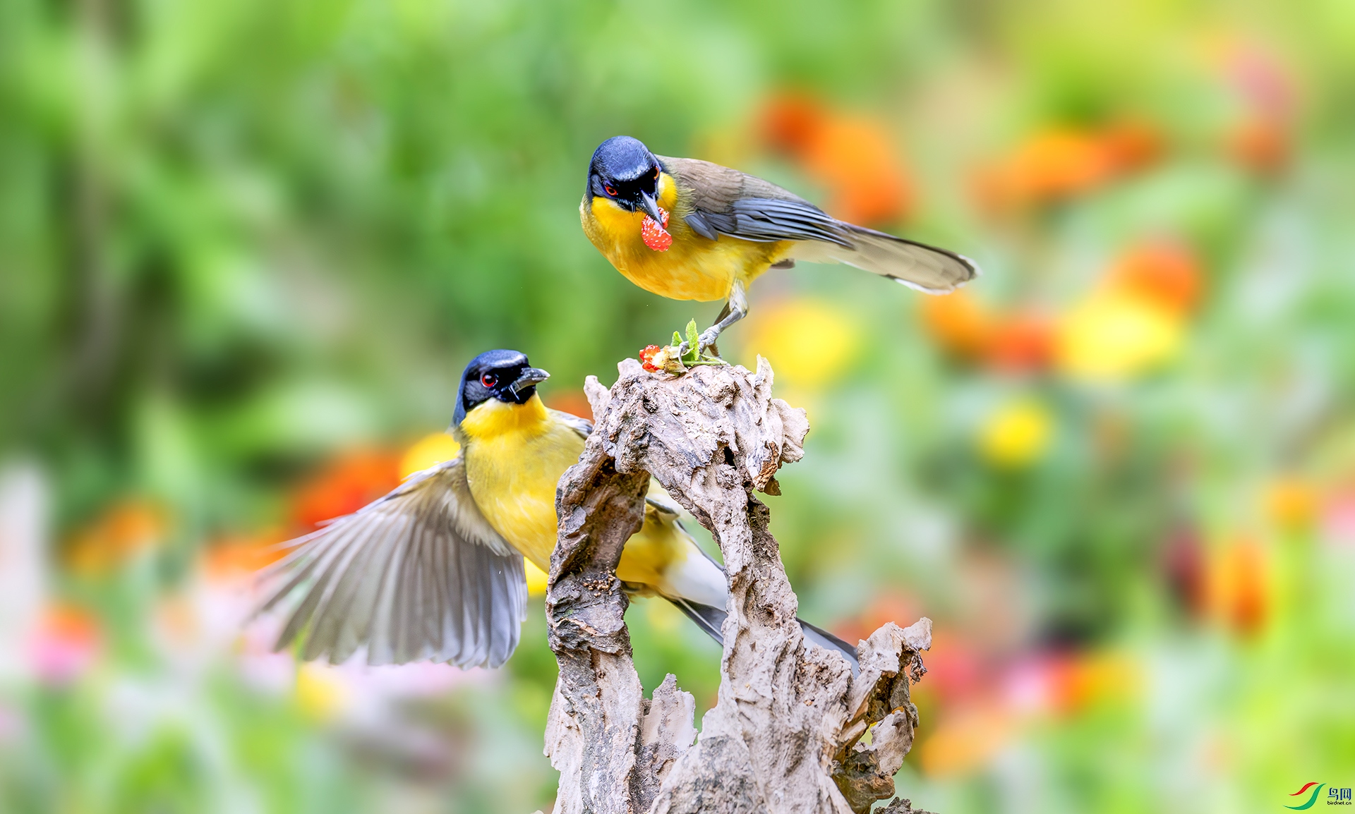 060A6468------22  .jpg