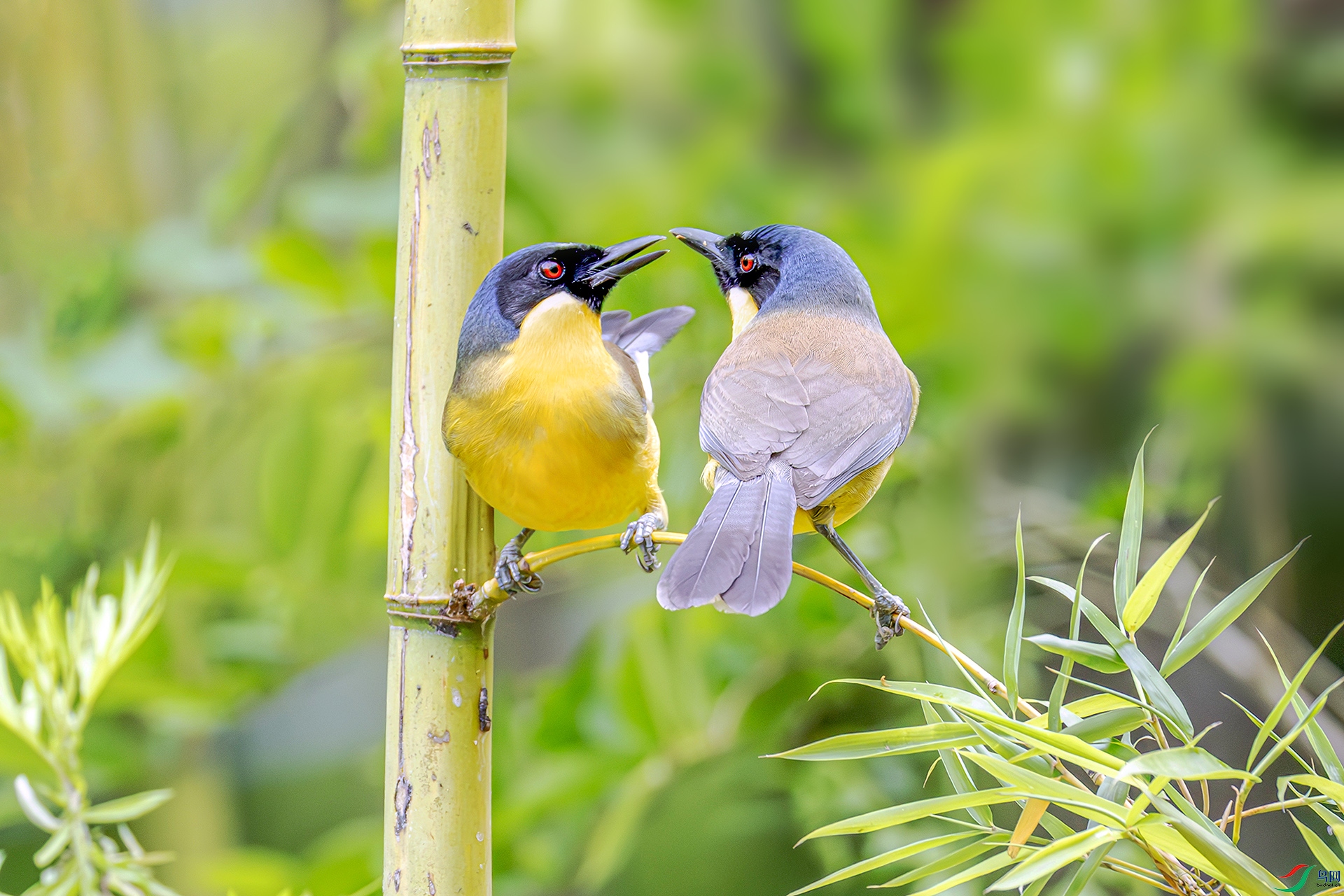 060A9481-----22  .jpg