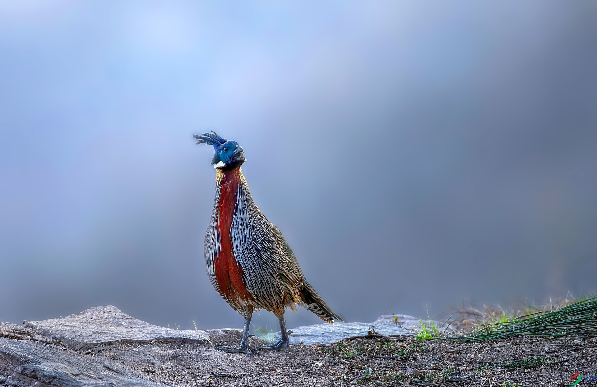 _S7I0725----33  .jpg