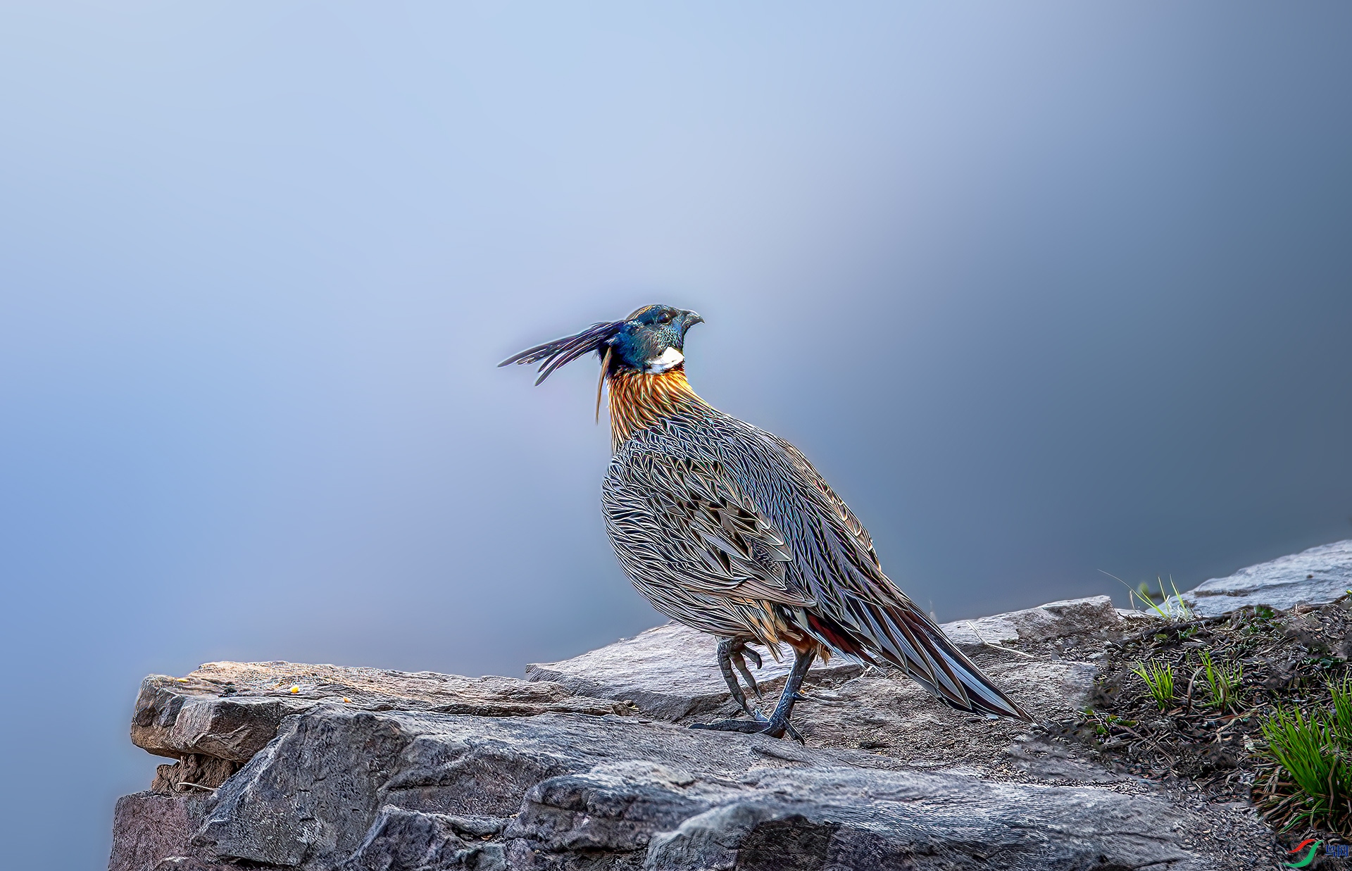 _S7I0856----33  .jpg