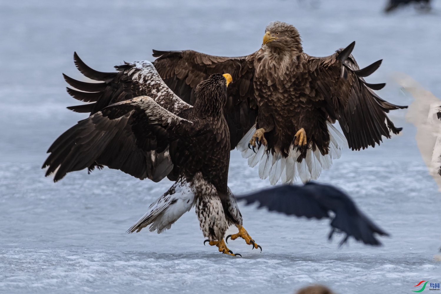 _P4A4972-DxO_DeepPRIME 3.jpg