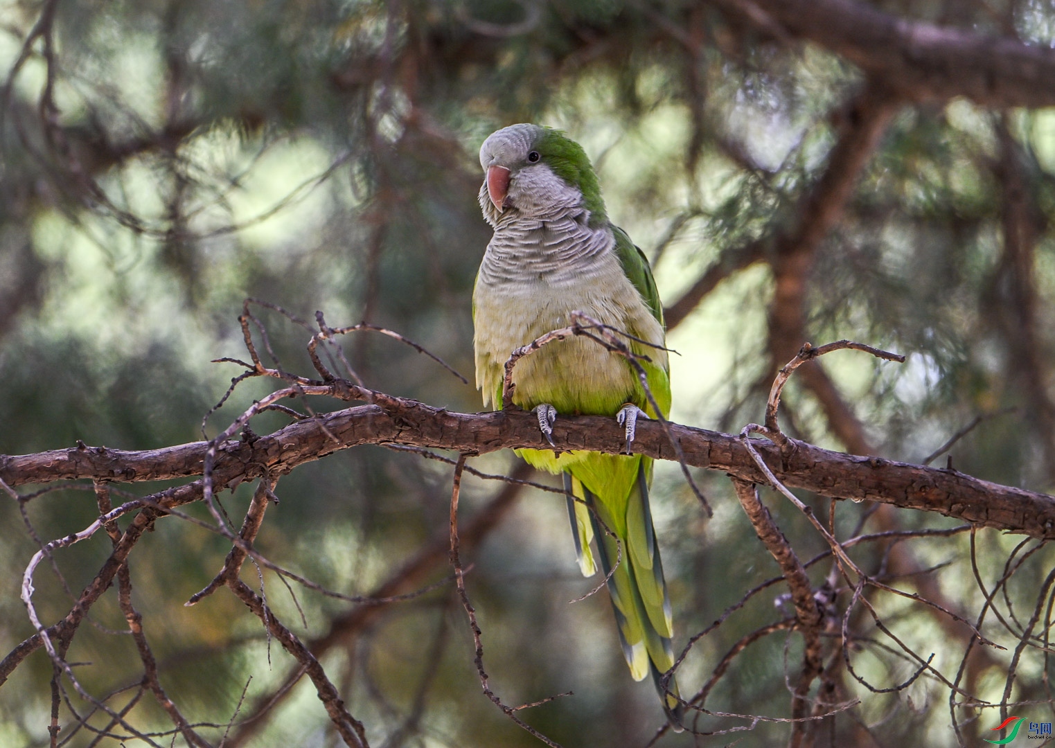 DSC_0316_1.jpg