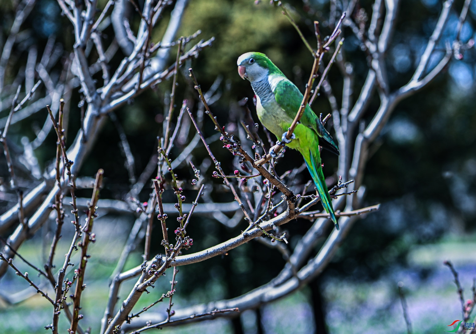DSC_0320_1.jpg