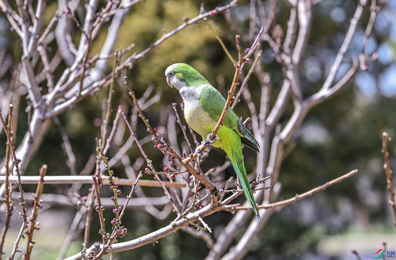 DSC_0318_2.jpg