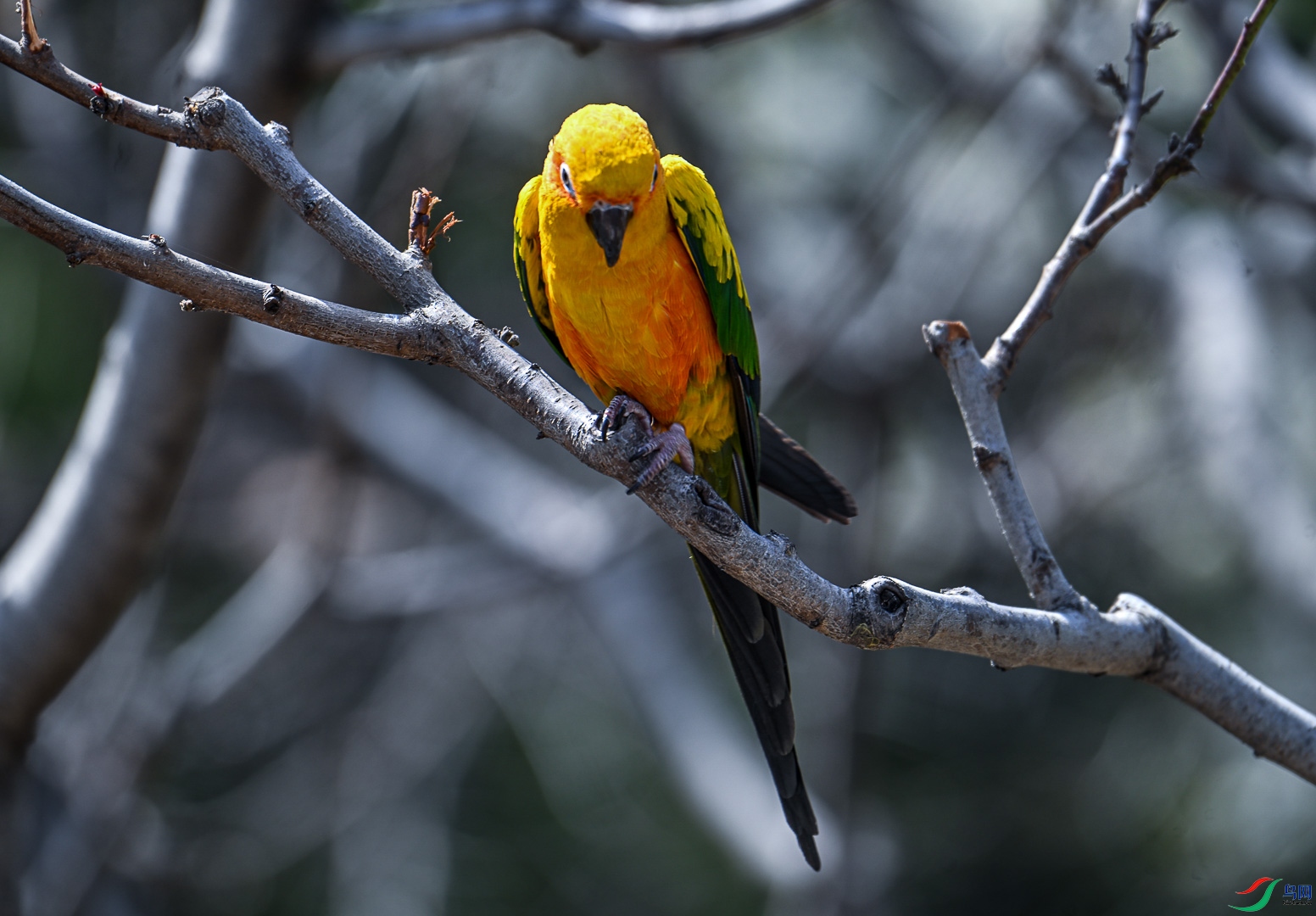 DSC_0267_1.jpg