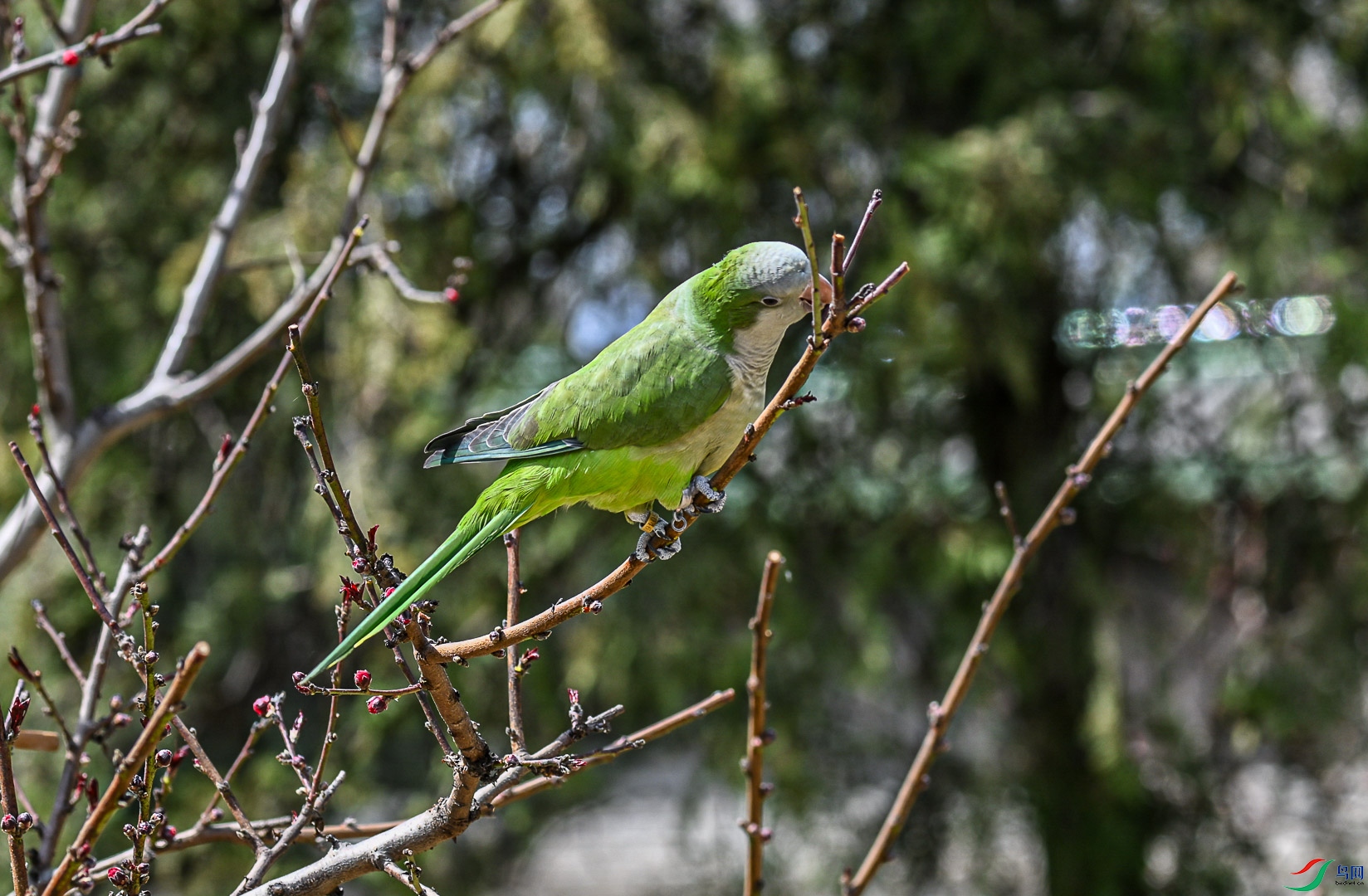 DSC_0376_1.jpg