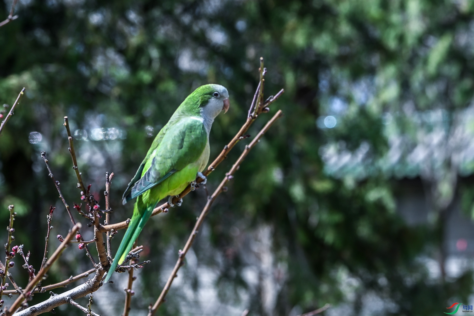 DSC_0352_1.jpg