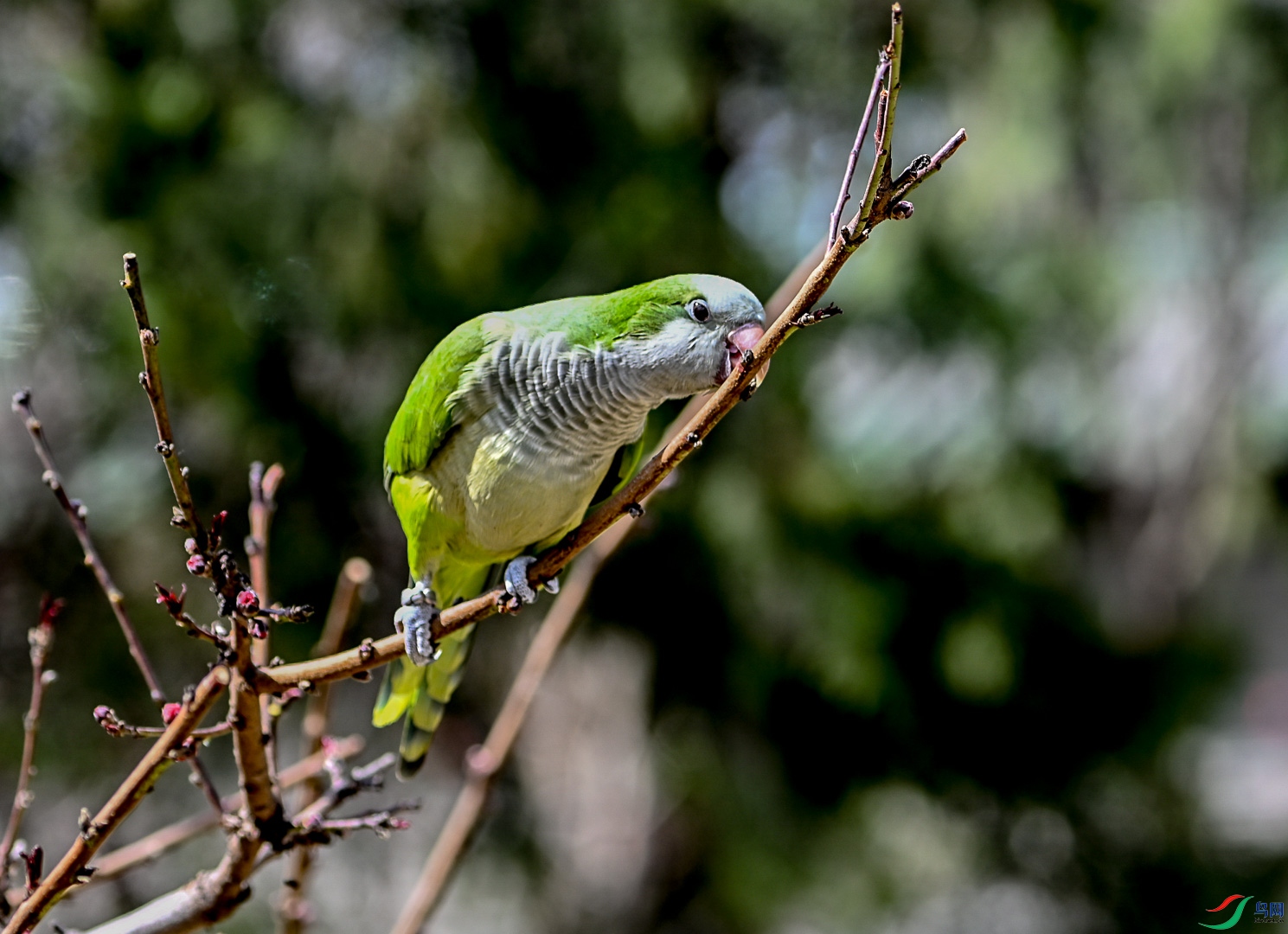 DSC_0339_1.jpg