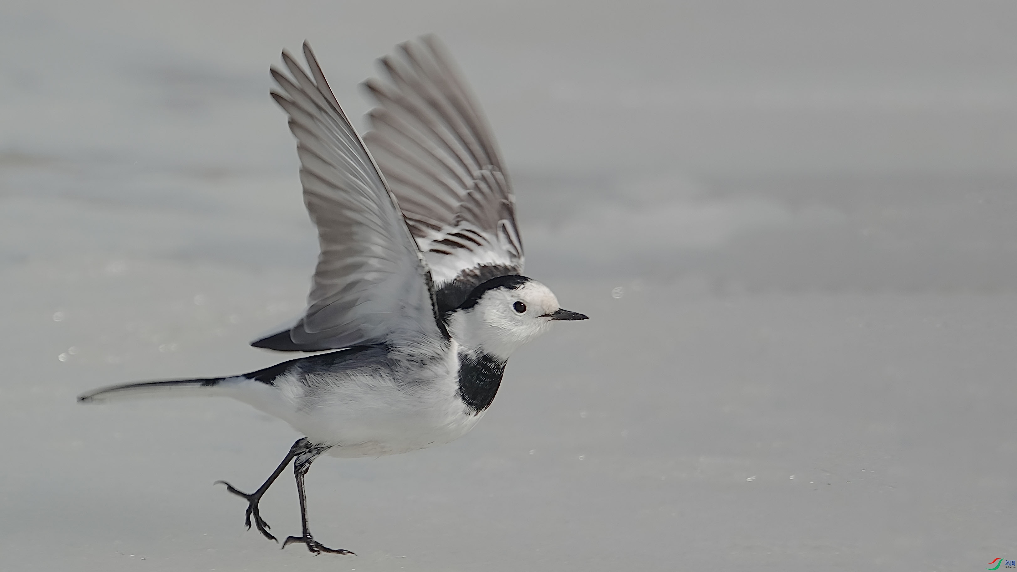 aDSC02617 ����.jpg