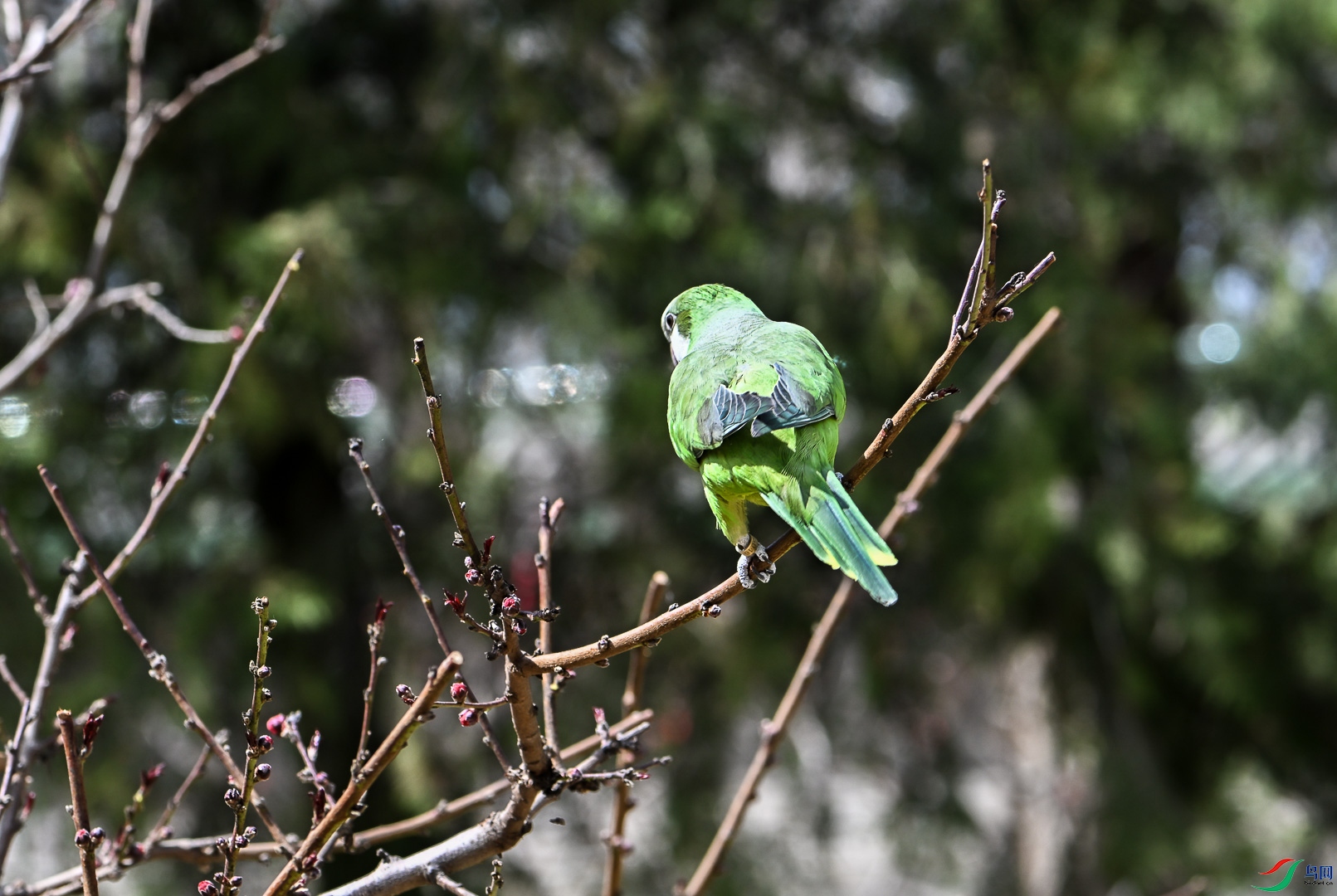 DSC_0364_1.jpg