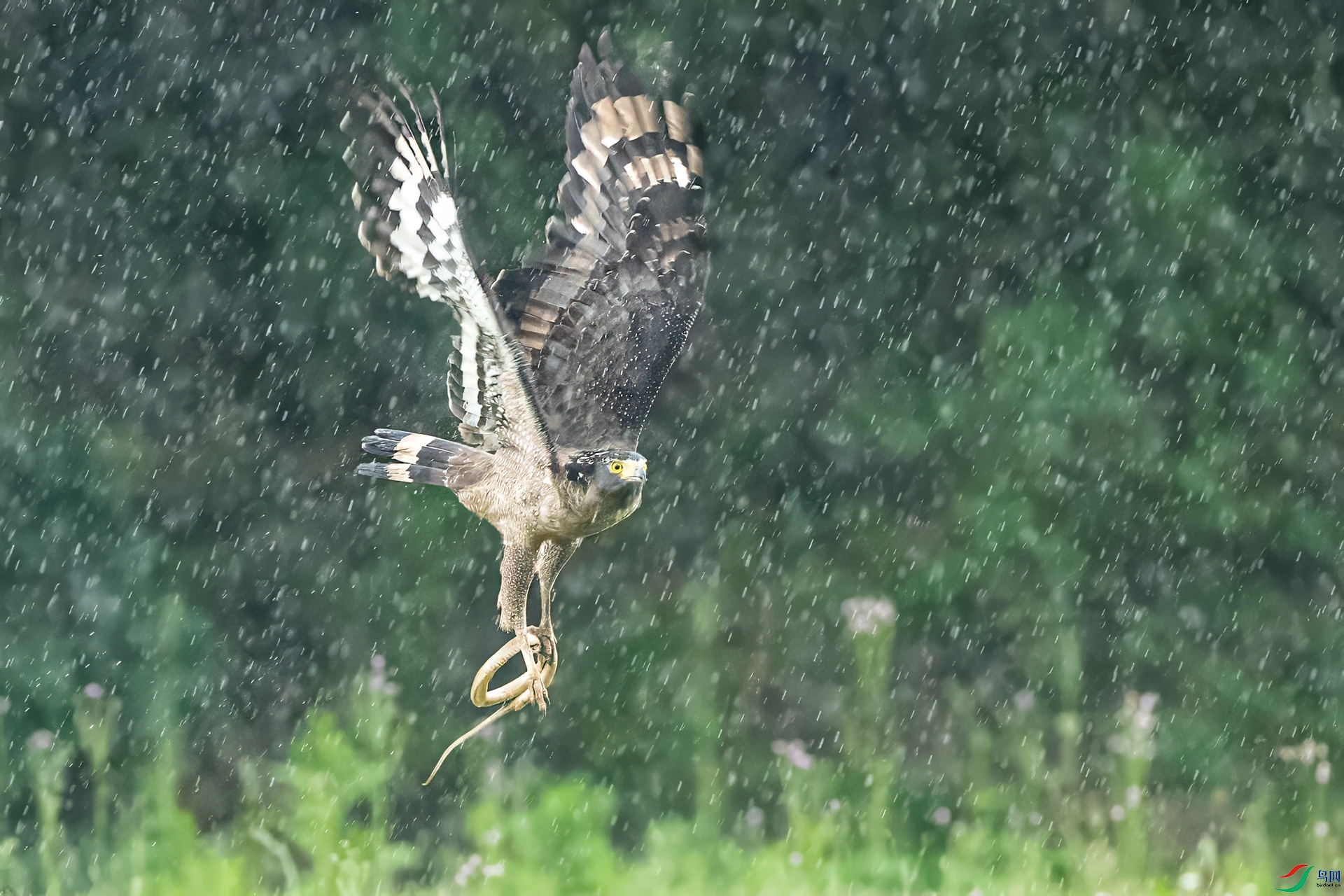 B86I4342 _����.jpg