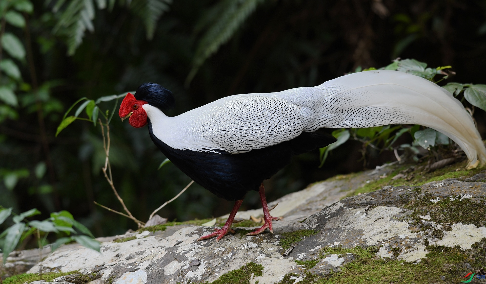 DSC_6957.jpg