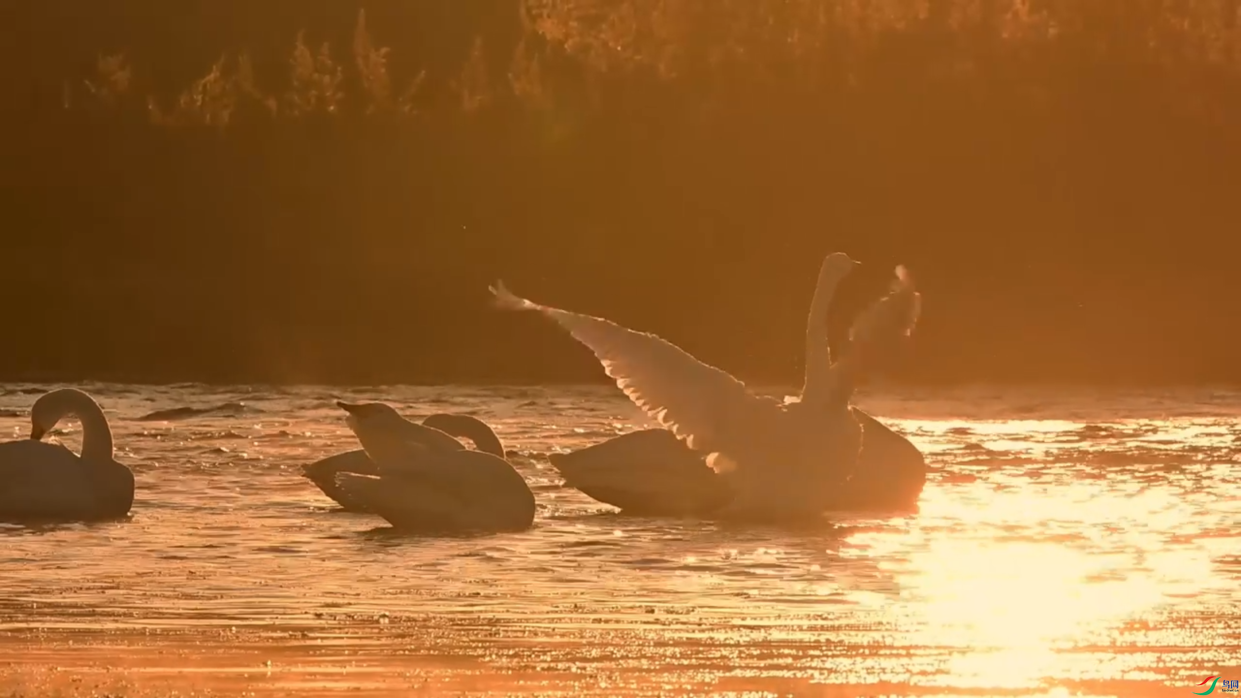 3��14�� (32).png