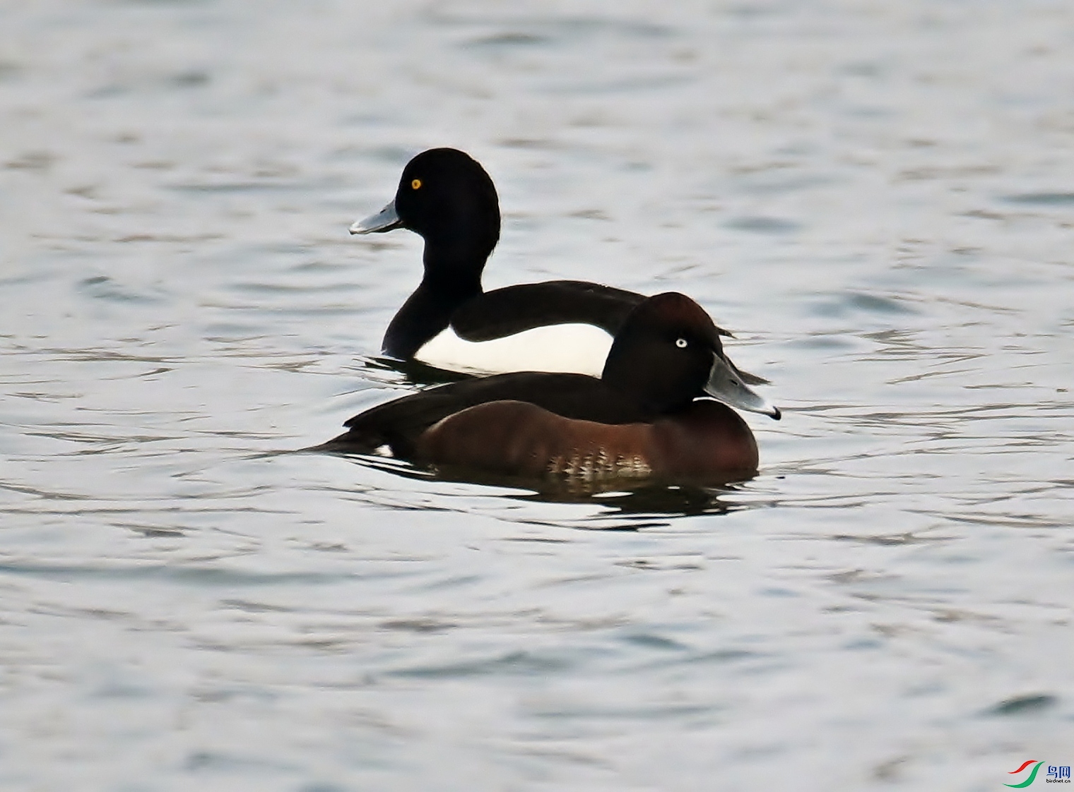 DSC_6482.JPG