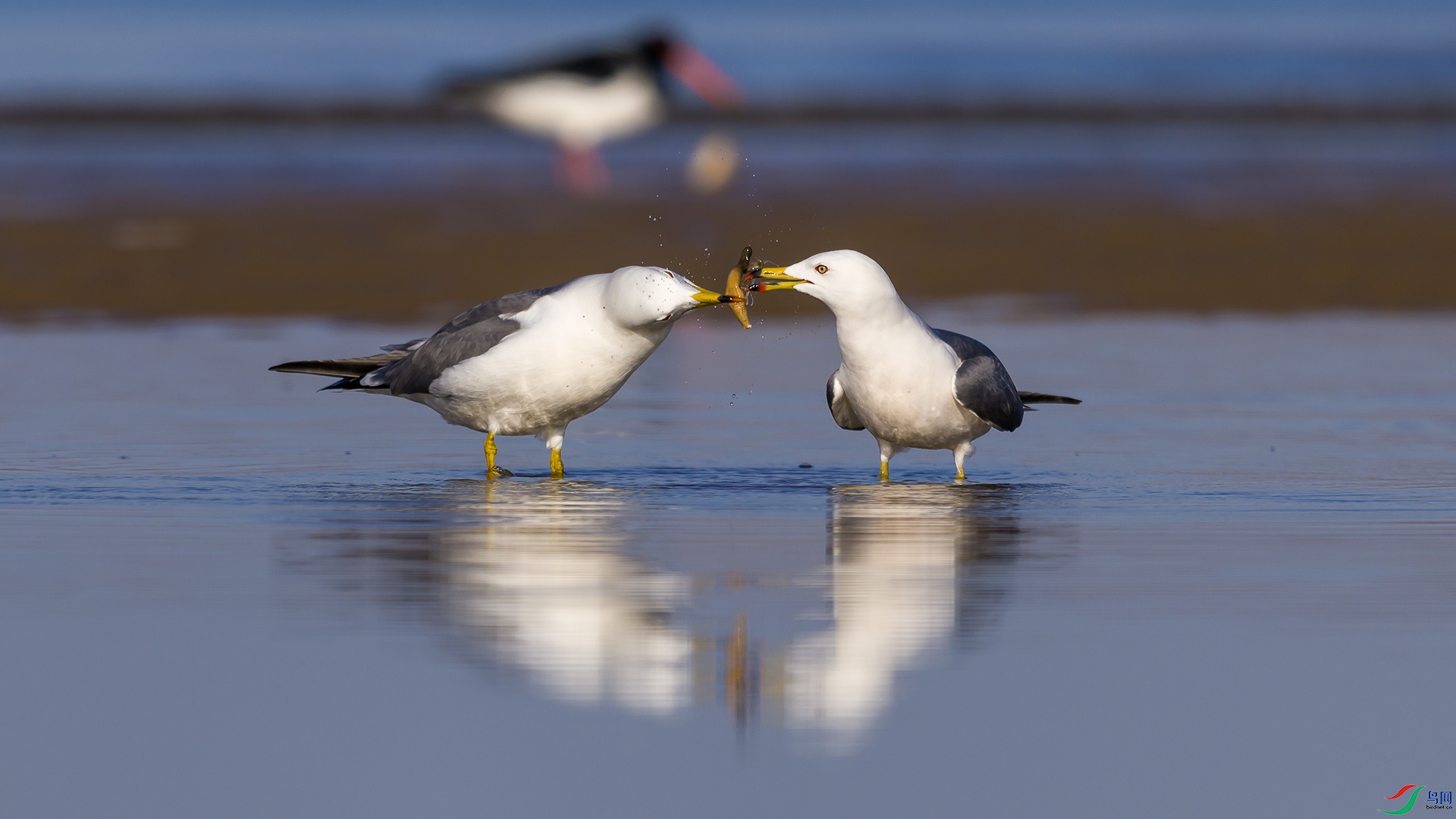 051A2829 ����n.jpg