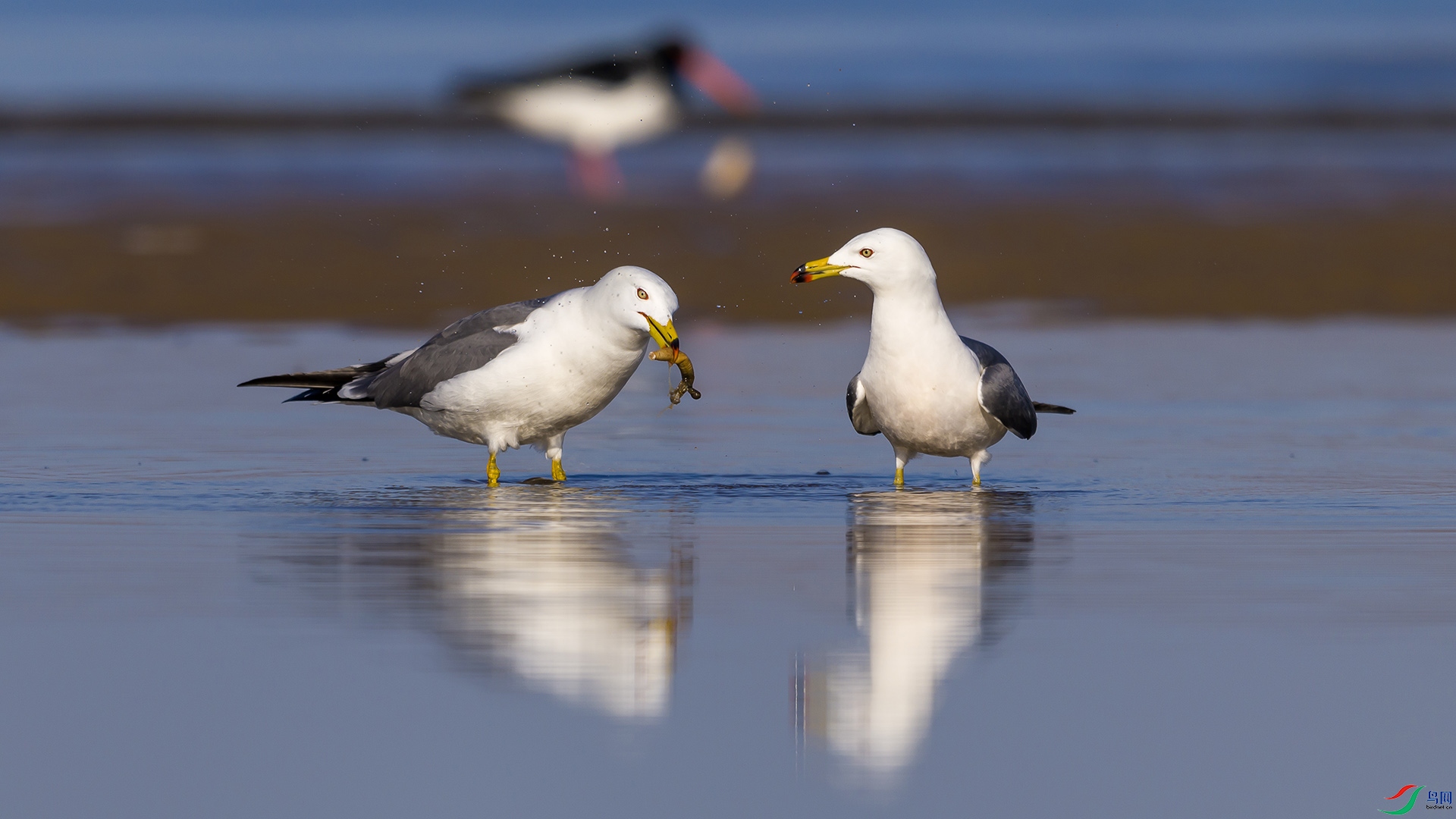 051A2831 ����n.jpg