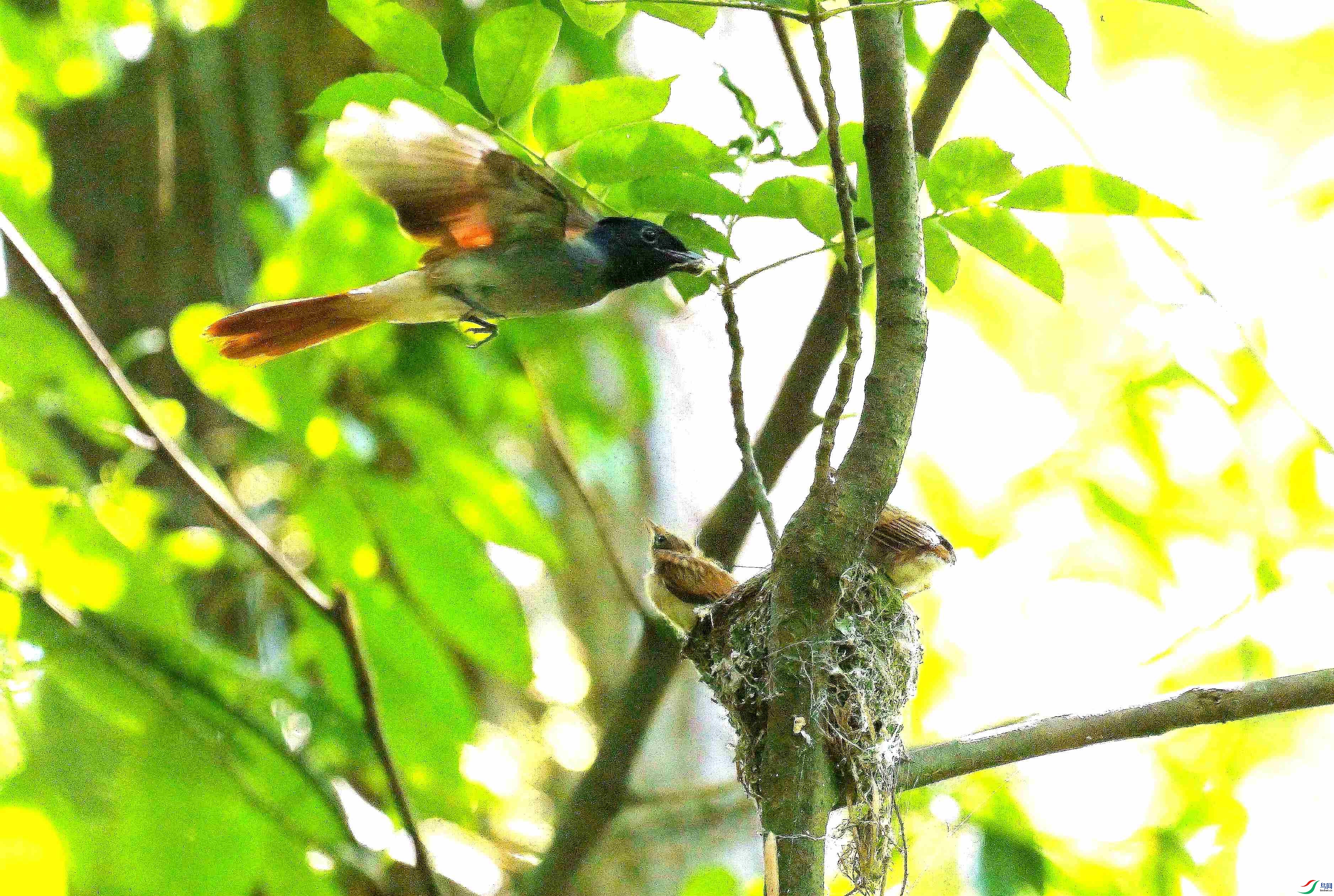 DSC_5764.jpg