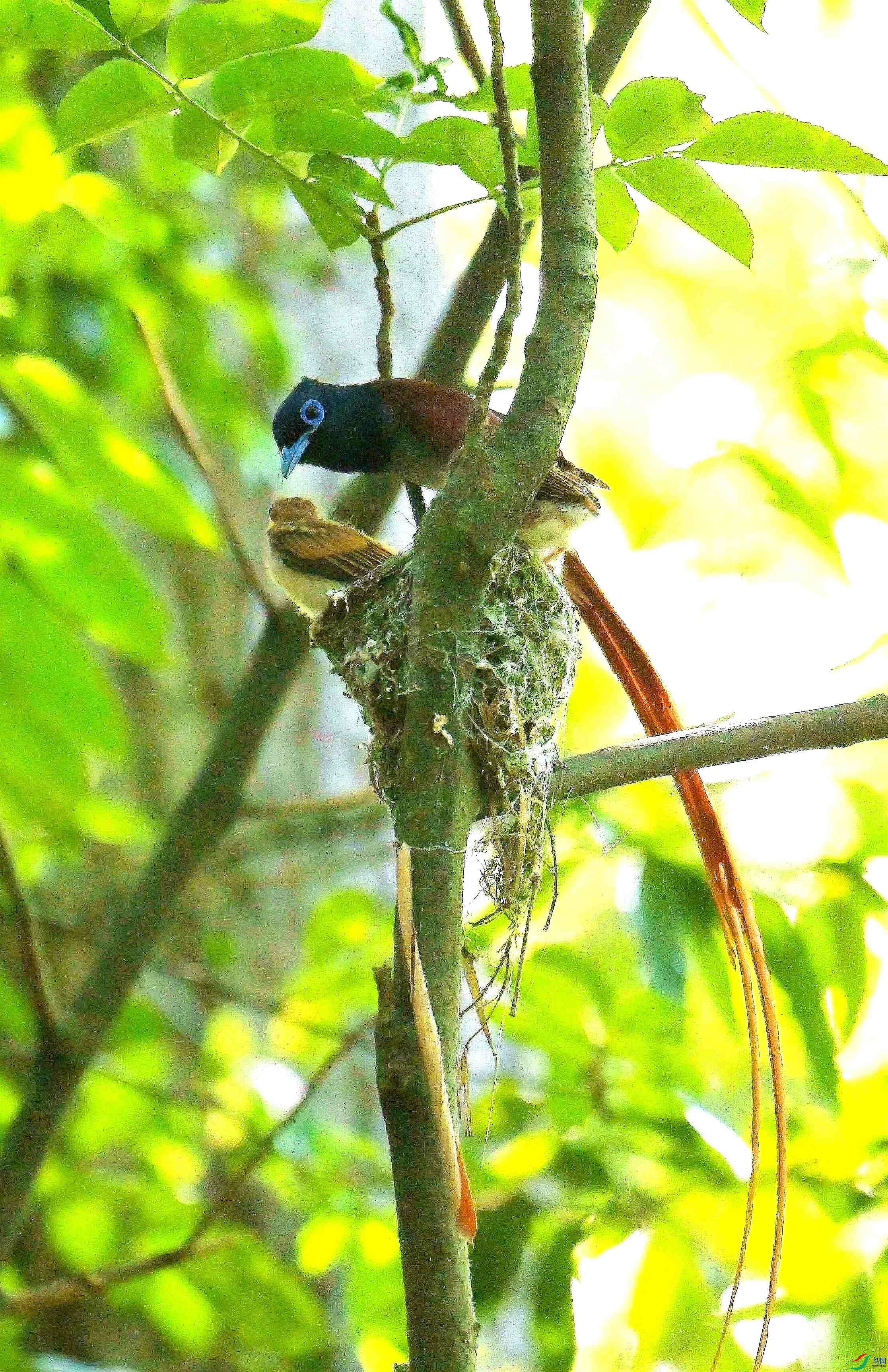 DSC_5923.jpg