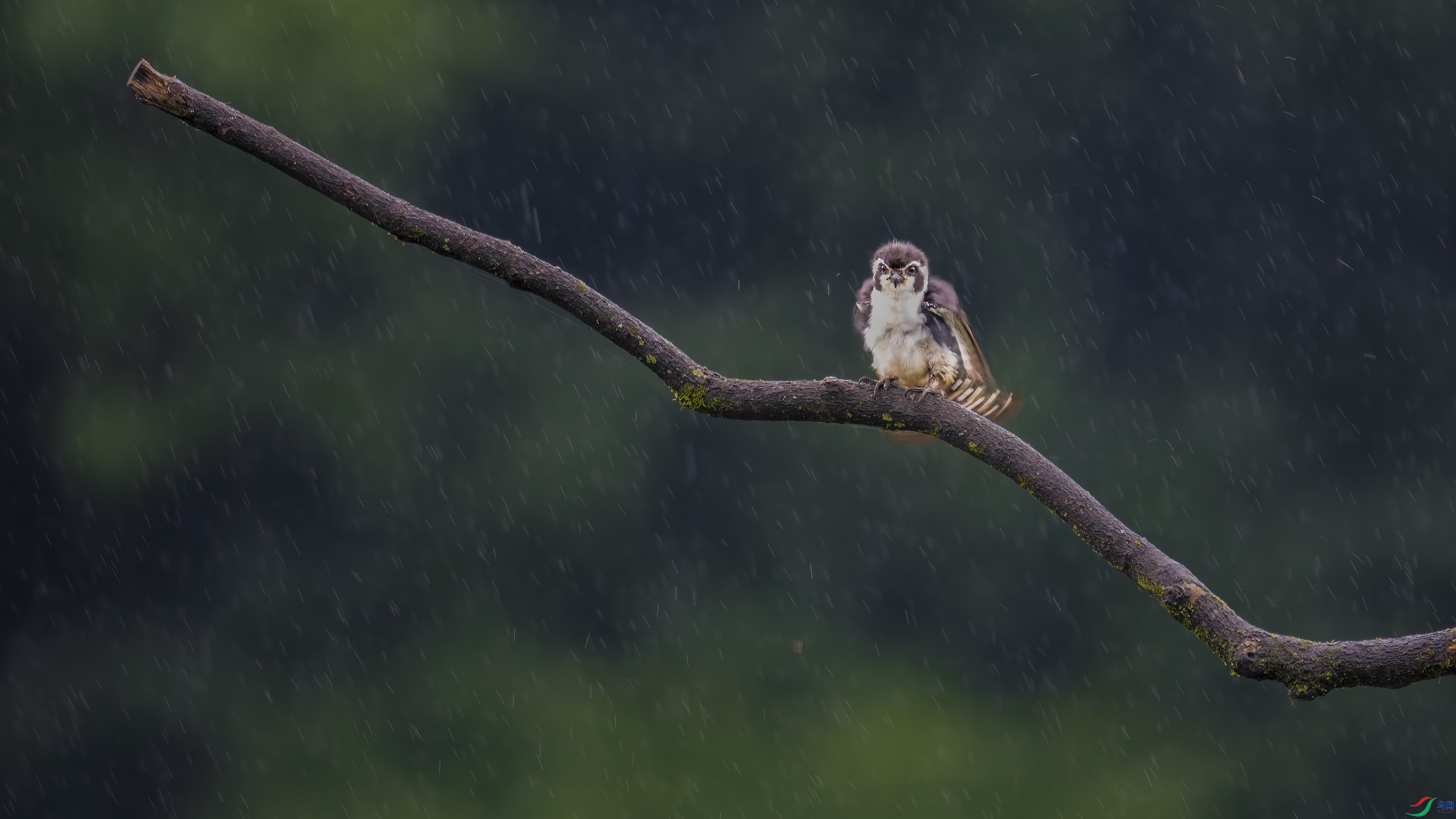 DSC_8641_DxO.jpg