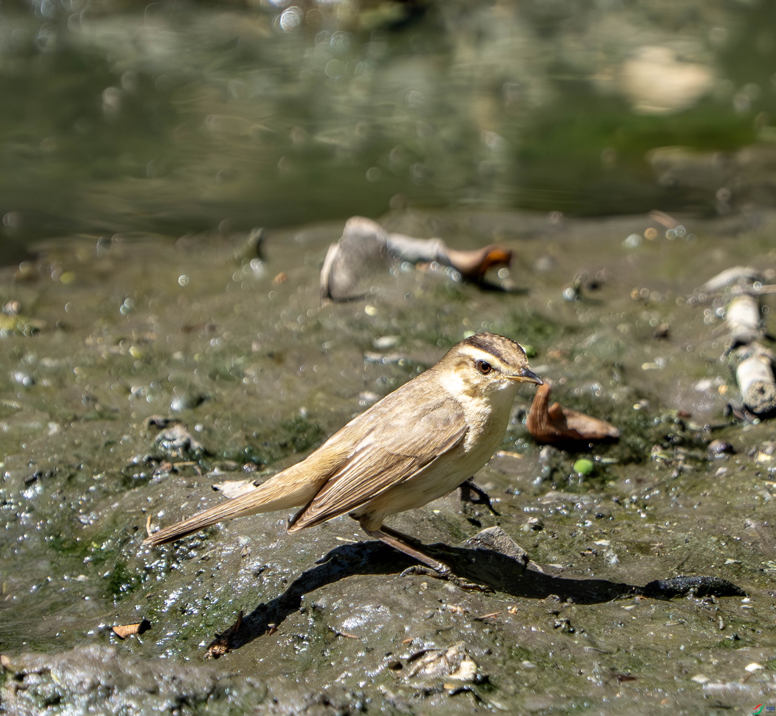 ��üέݺ-3-2.jpg