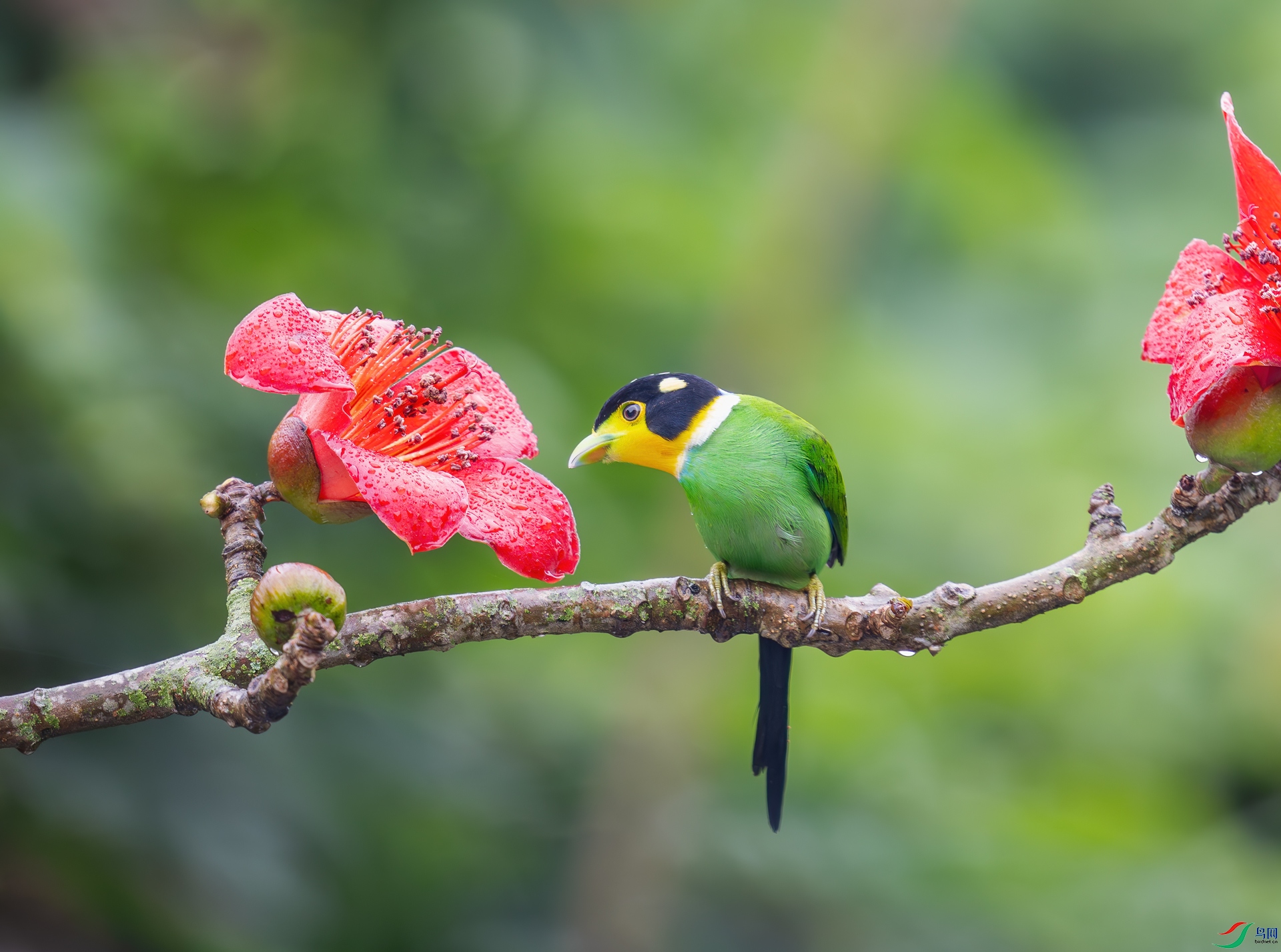 DSC_0630-1.jpg