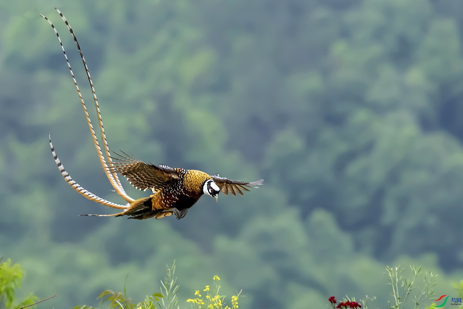 0F7A4936 ����.jpg