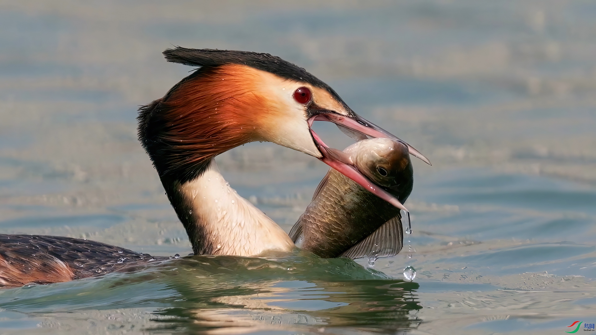 ��֡ 2026-03-15 101714_1.1.jpg