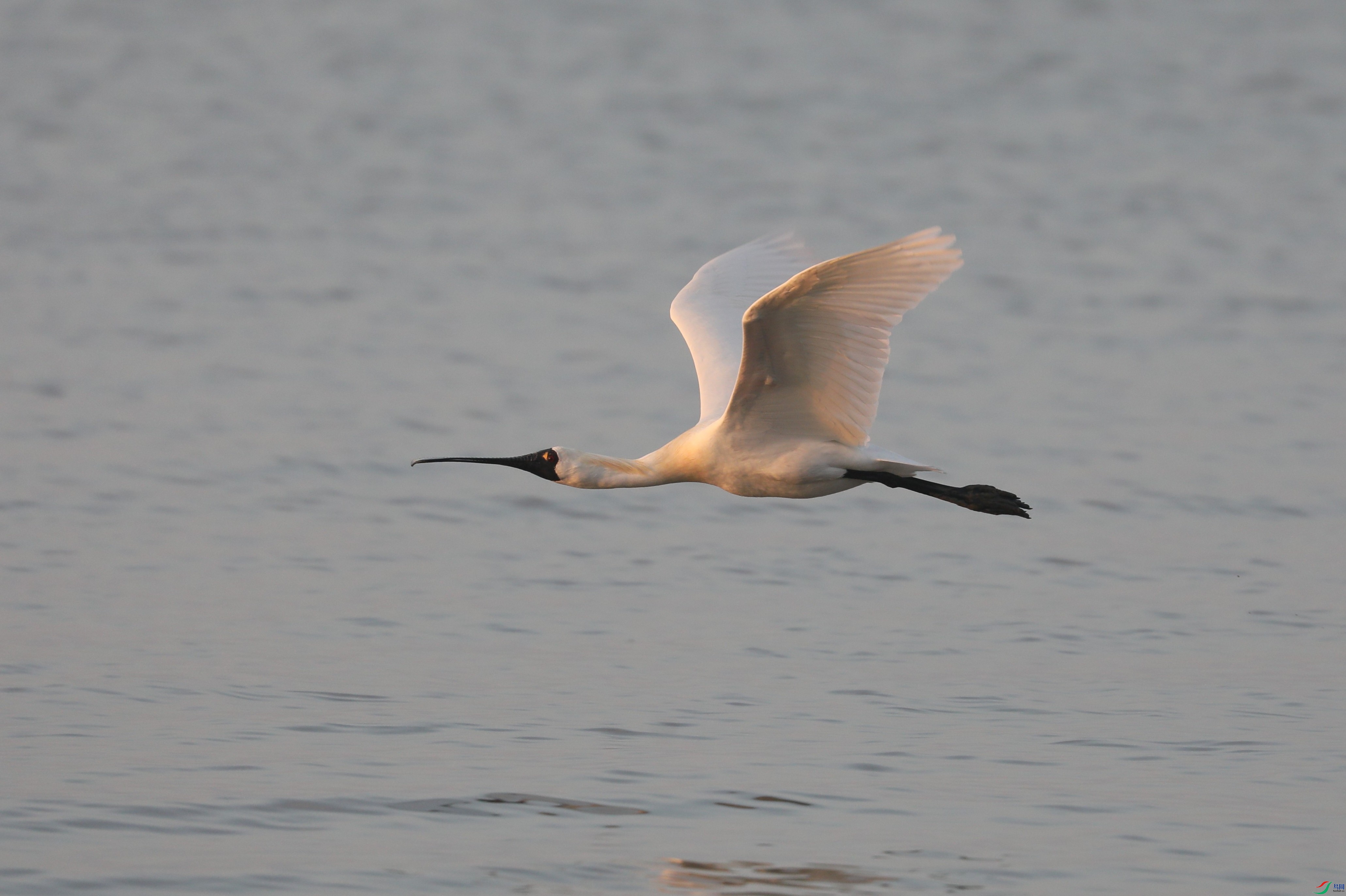BL7A3670.JPG