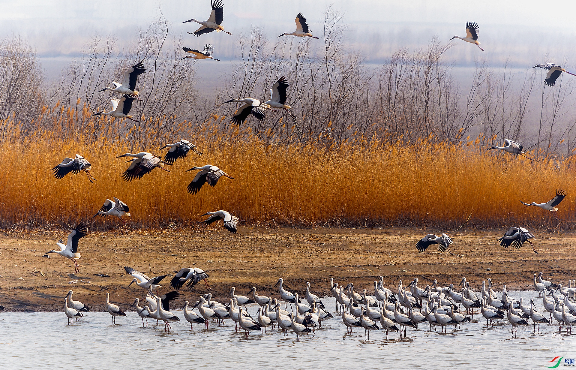 20260311-DSC01696 ���� 2.jpg