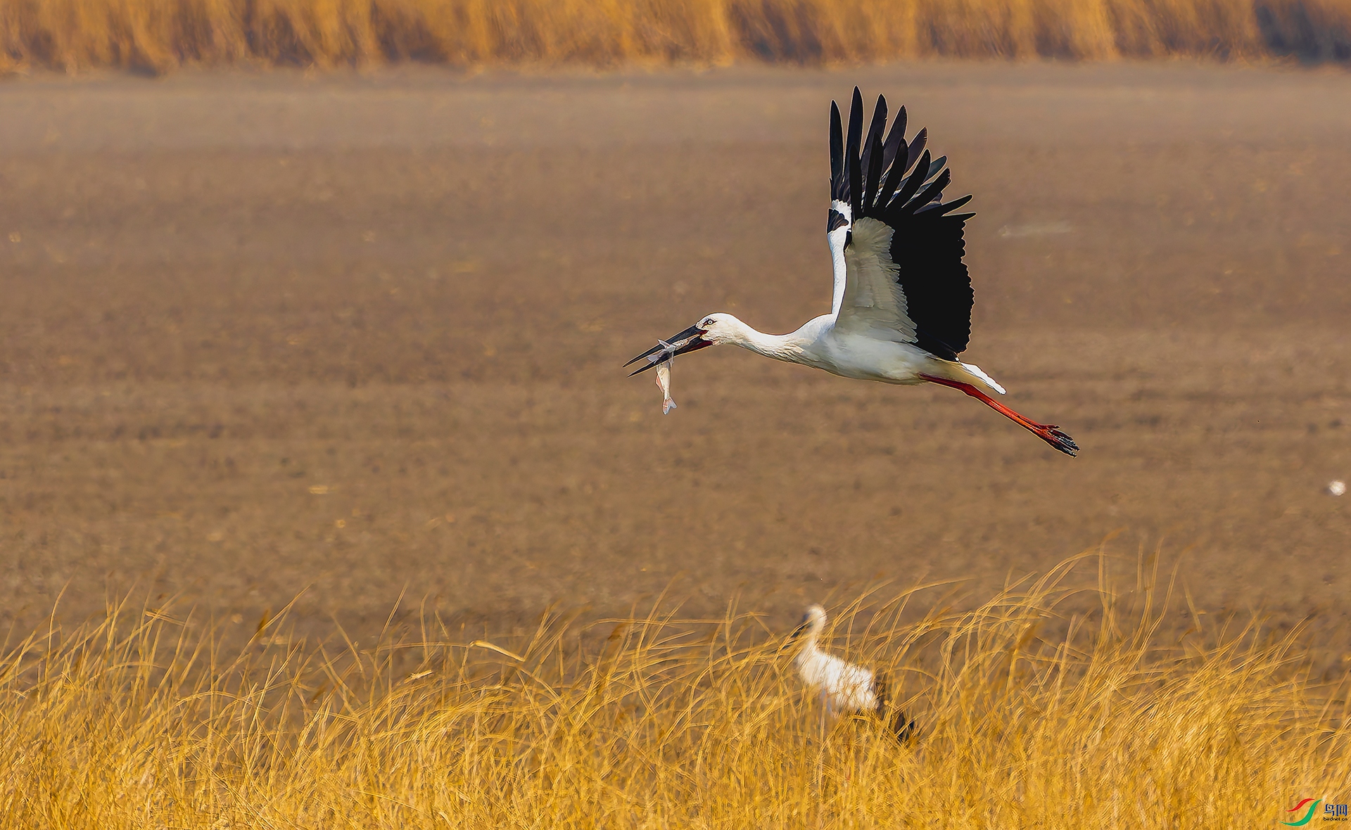 20260311-DSC02053 ���� 2.jpg