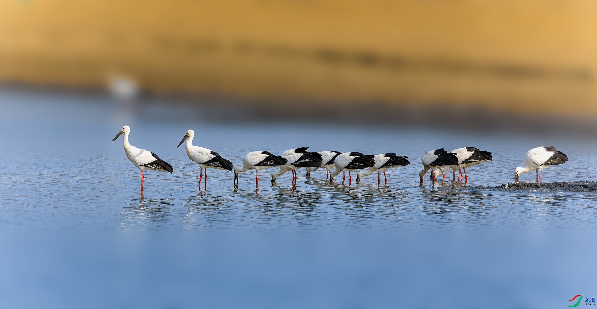 20260311-DSC02190 ����.jpg