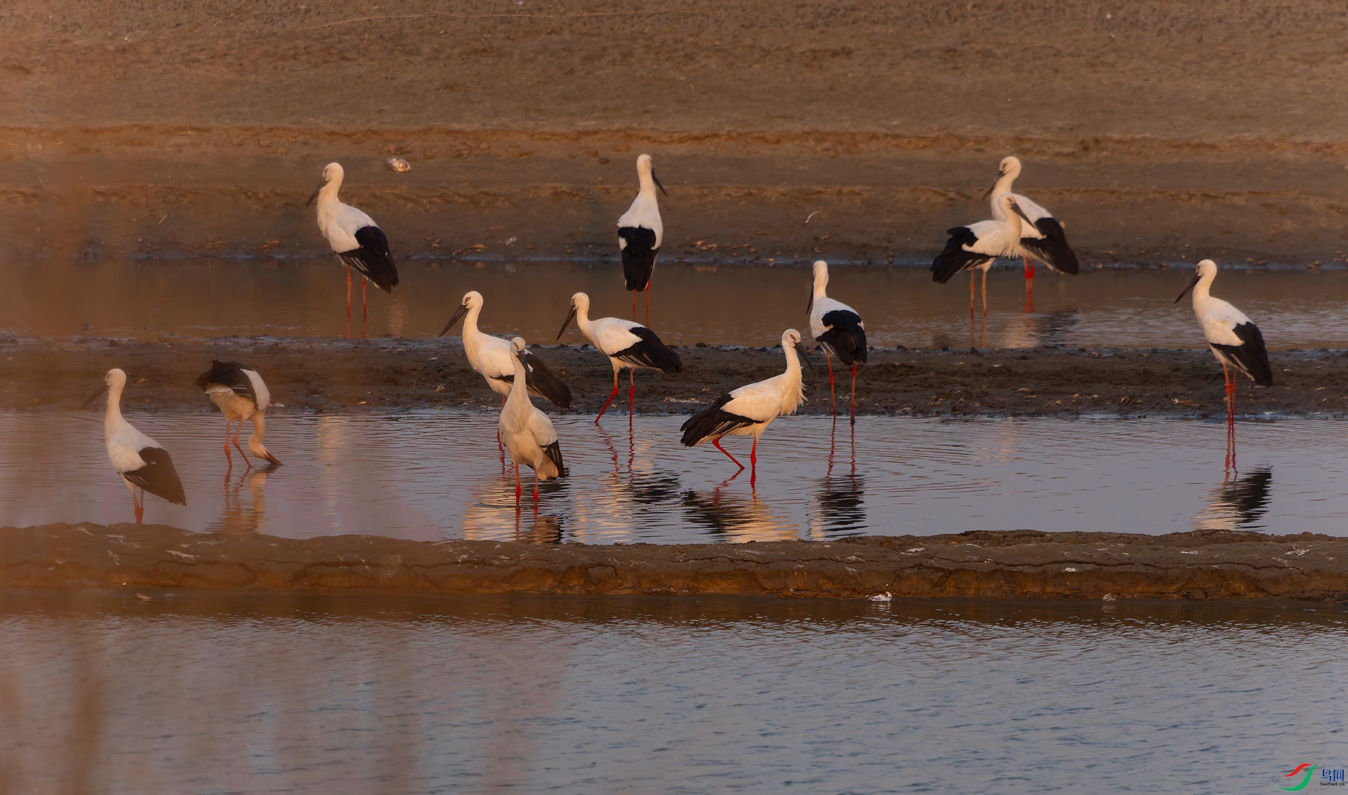 20260311-DSC02743 ���� 2.jpg