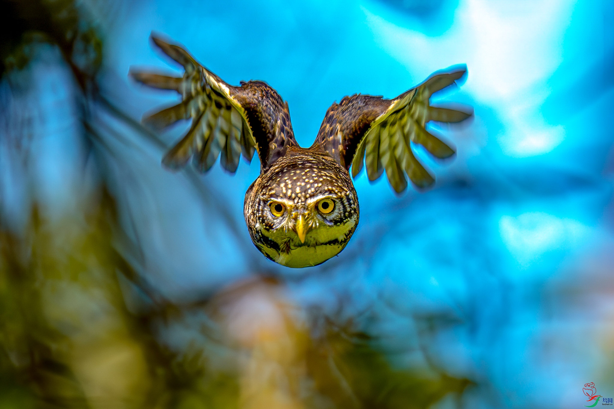 _DSC7979.psd-3.JPG