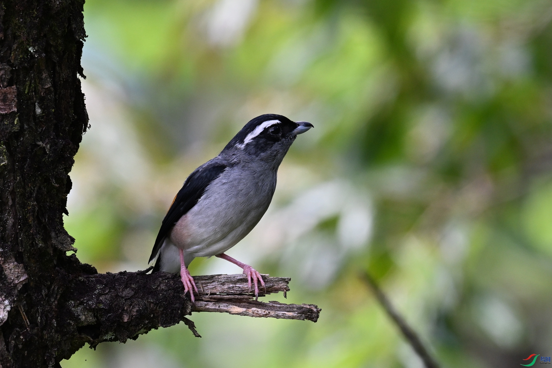 DSC_1438.JPG