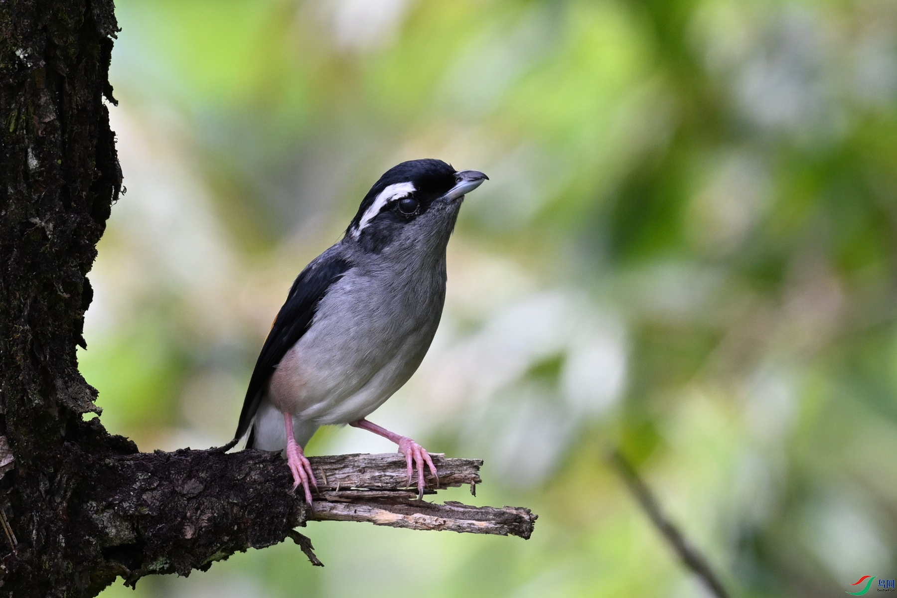 DSC_1442.JPG