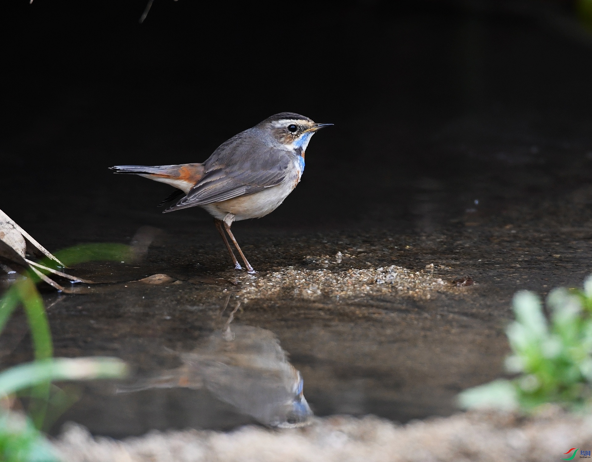 DSC_4312.jpg