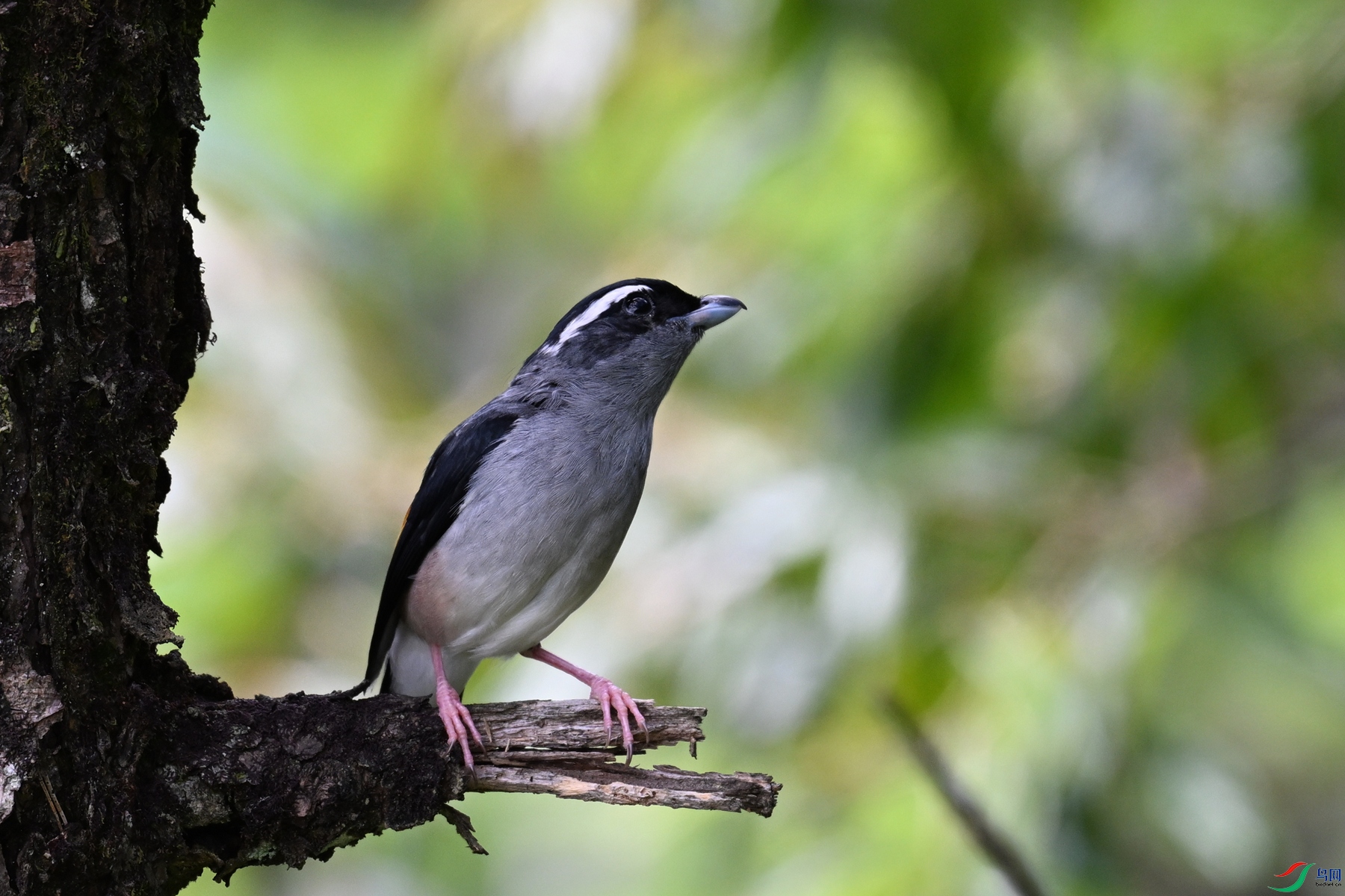 DSC_1444.JPG