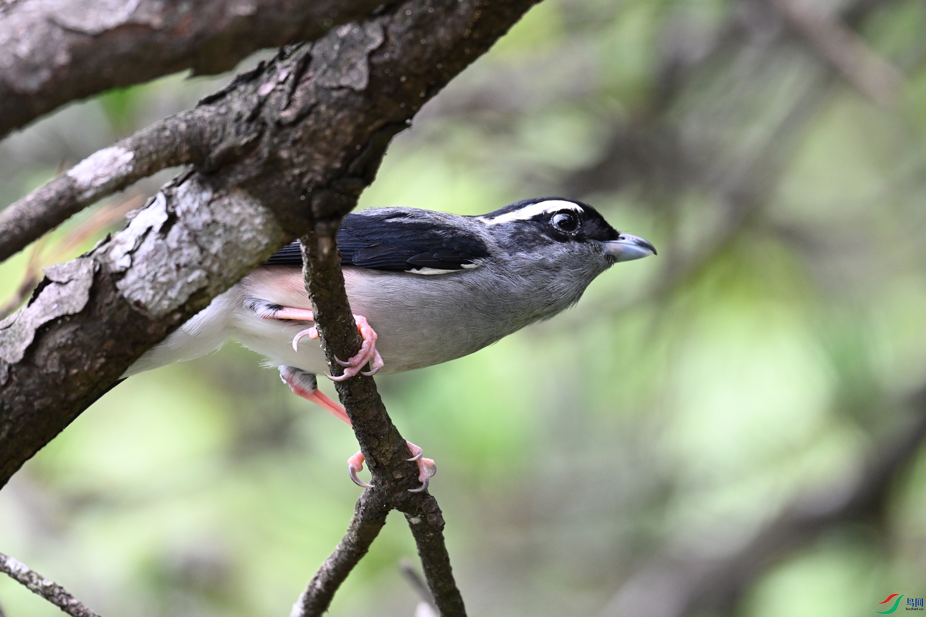 DSC_1472.JPG