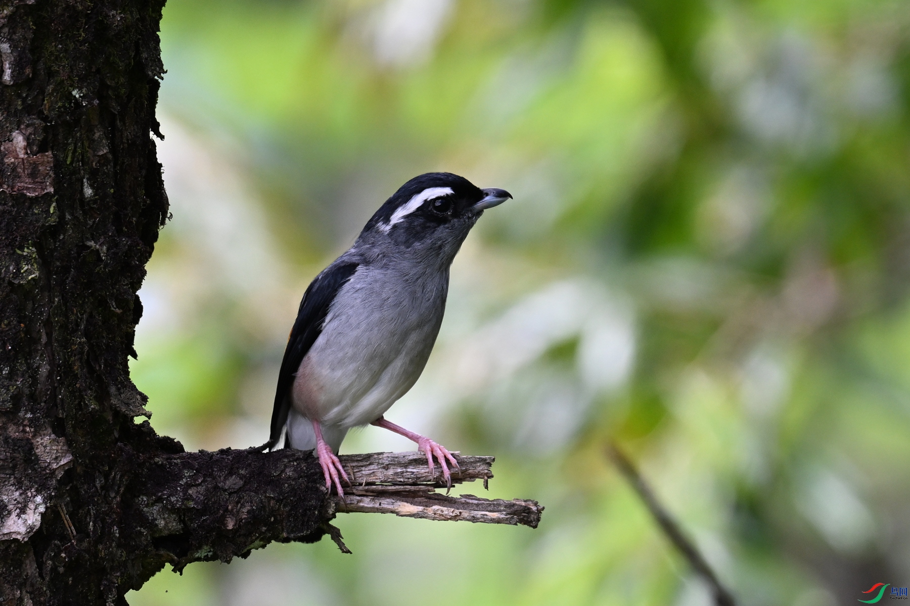 DSC_1447.JPG