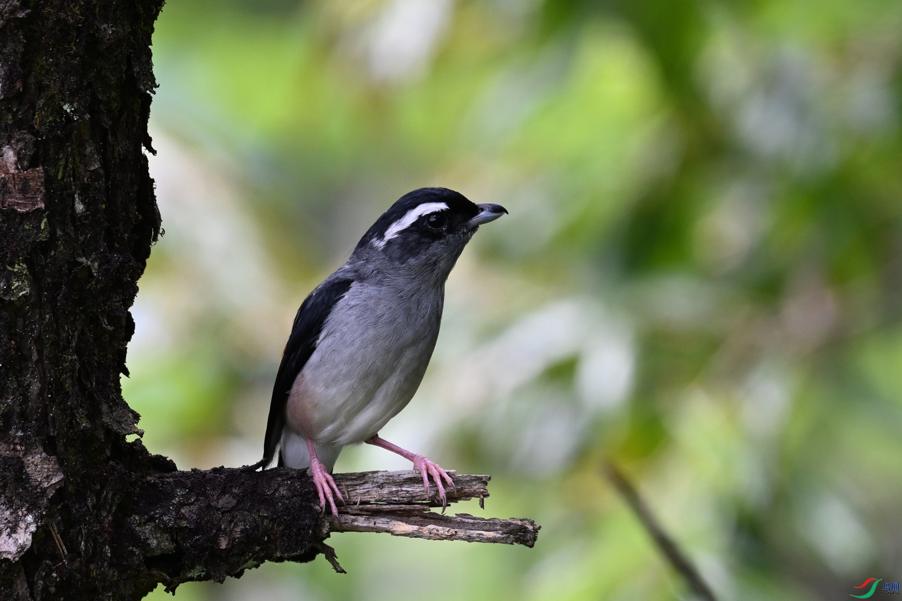 DSC_1110.JPG
