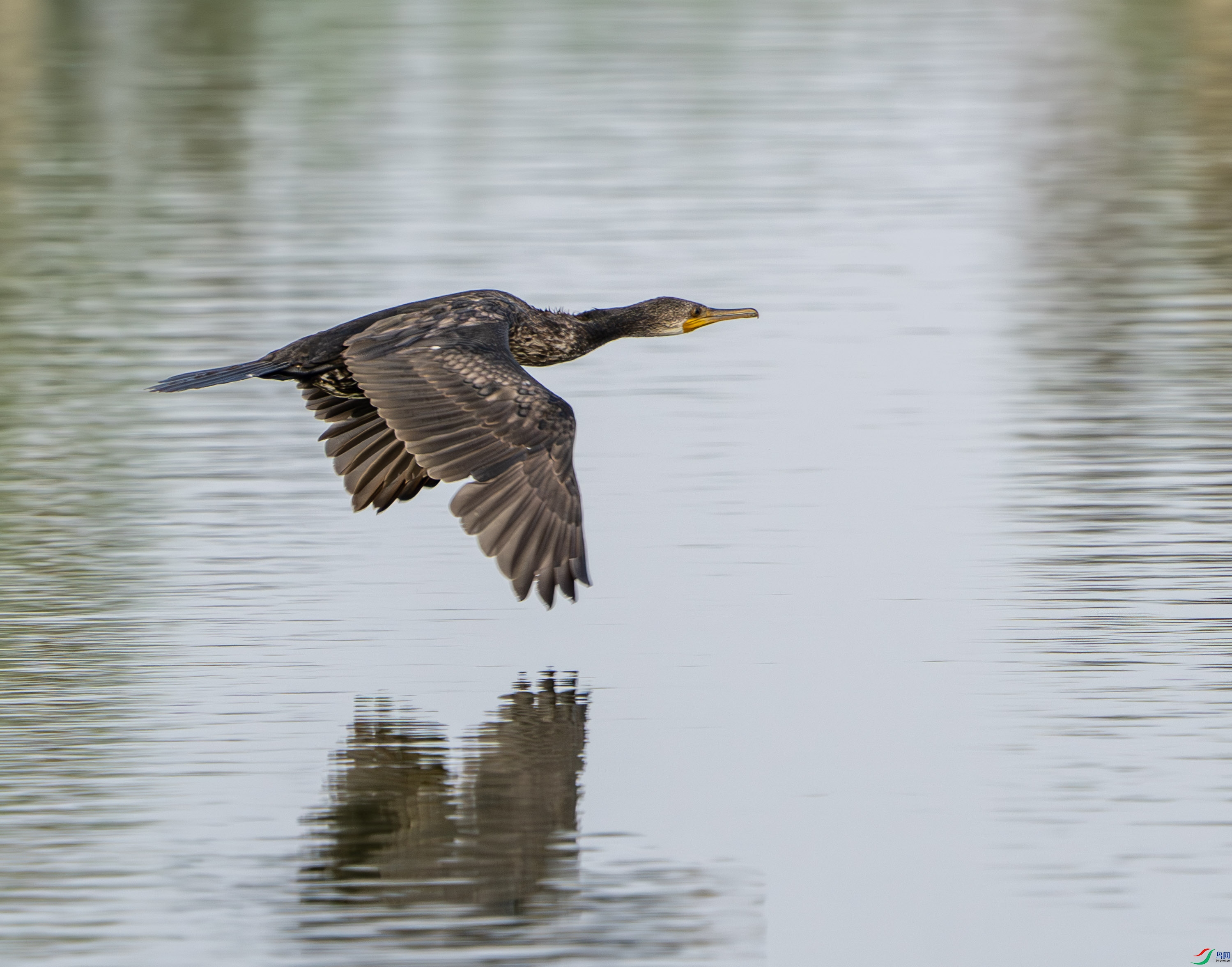 ӡ�����-1 (7).jpg