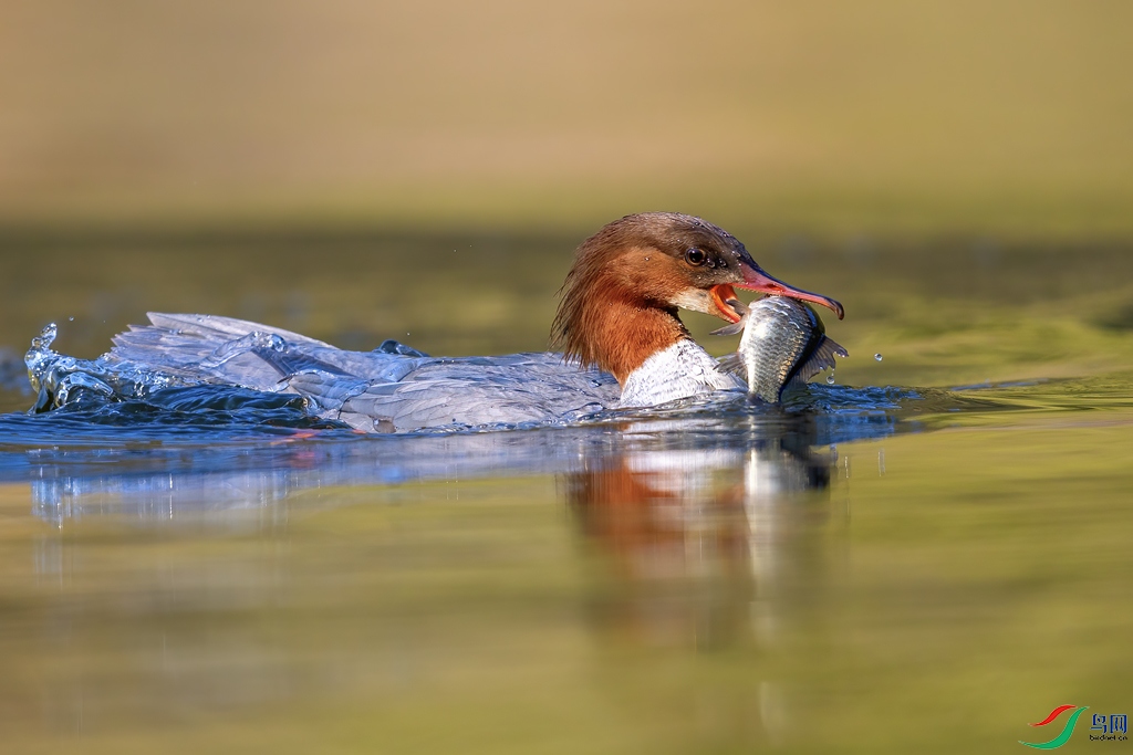 0G6A5230 ���� 2.jpg