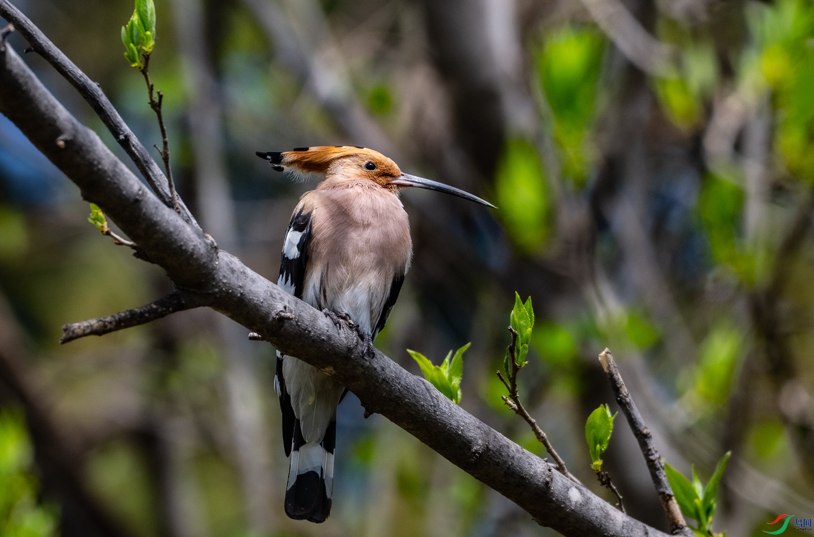 DSC_0747_2.jpg