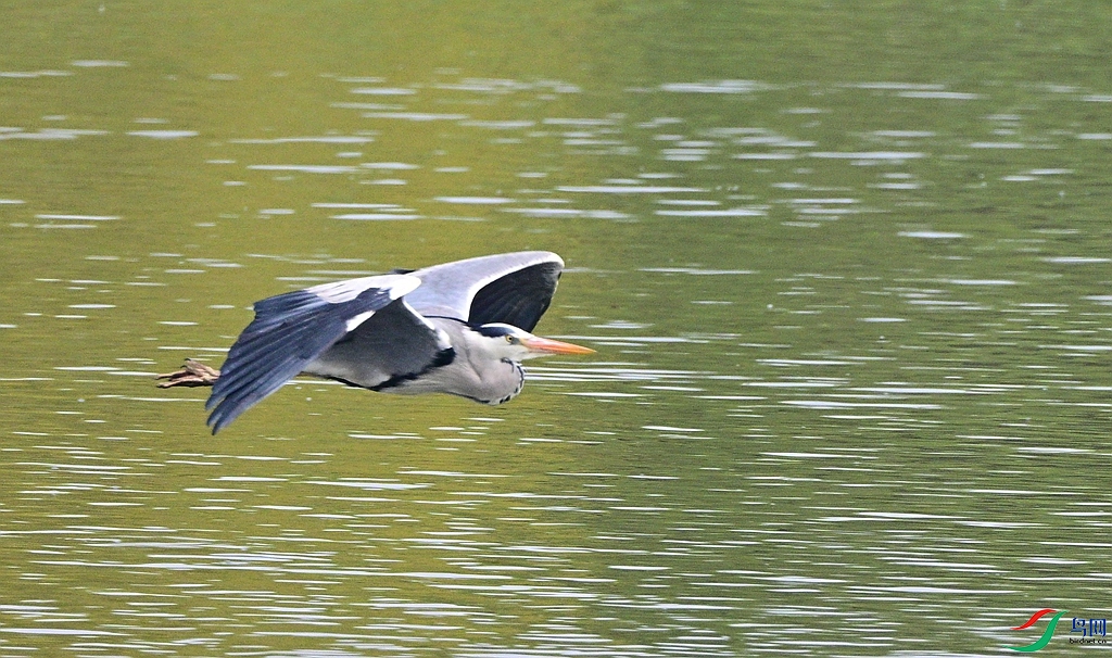 DSC_6256.JPG
