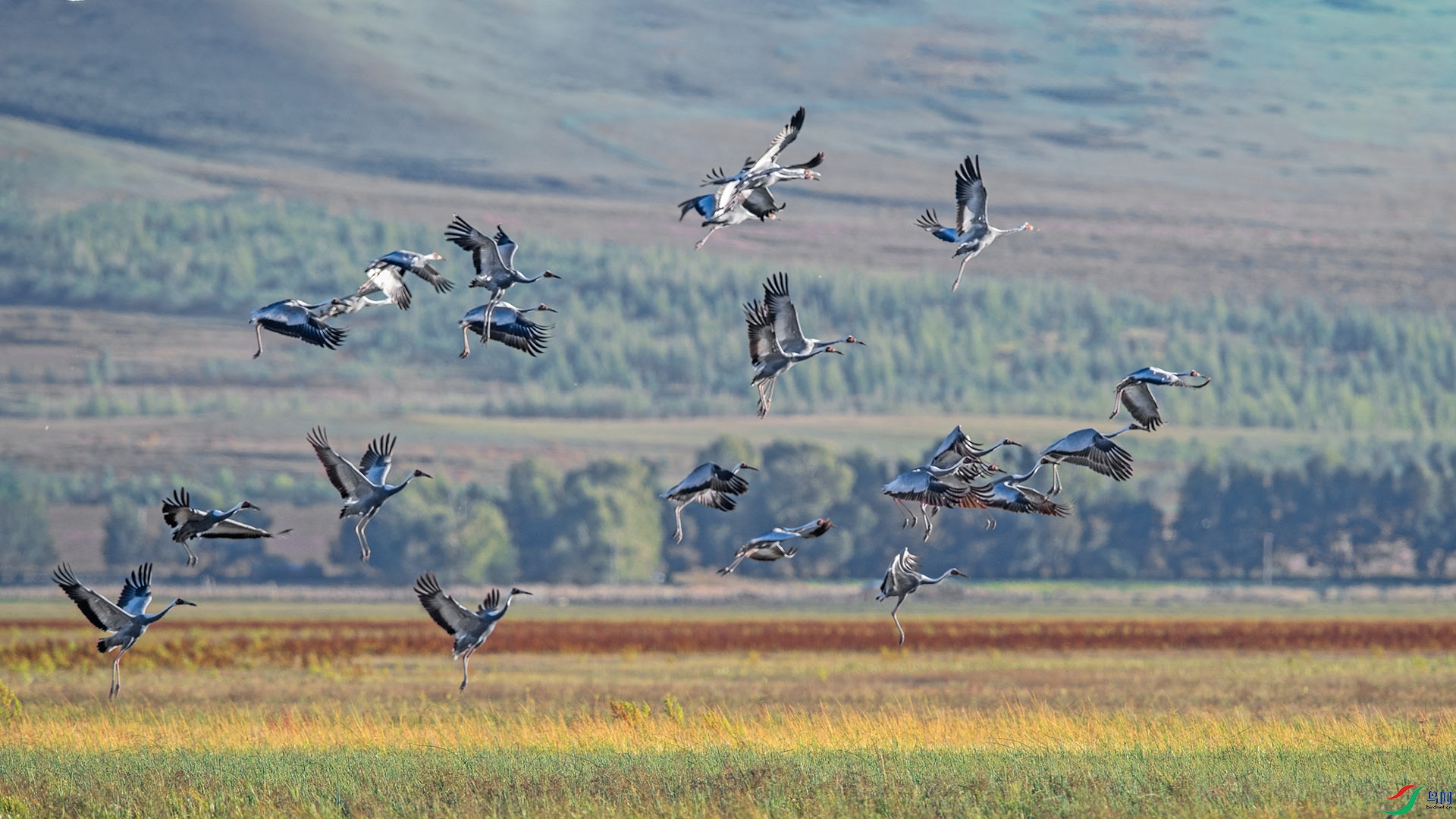 DSC_9550 ����.jpg