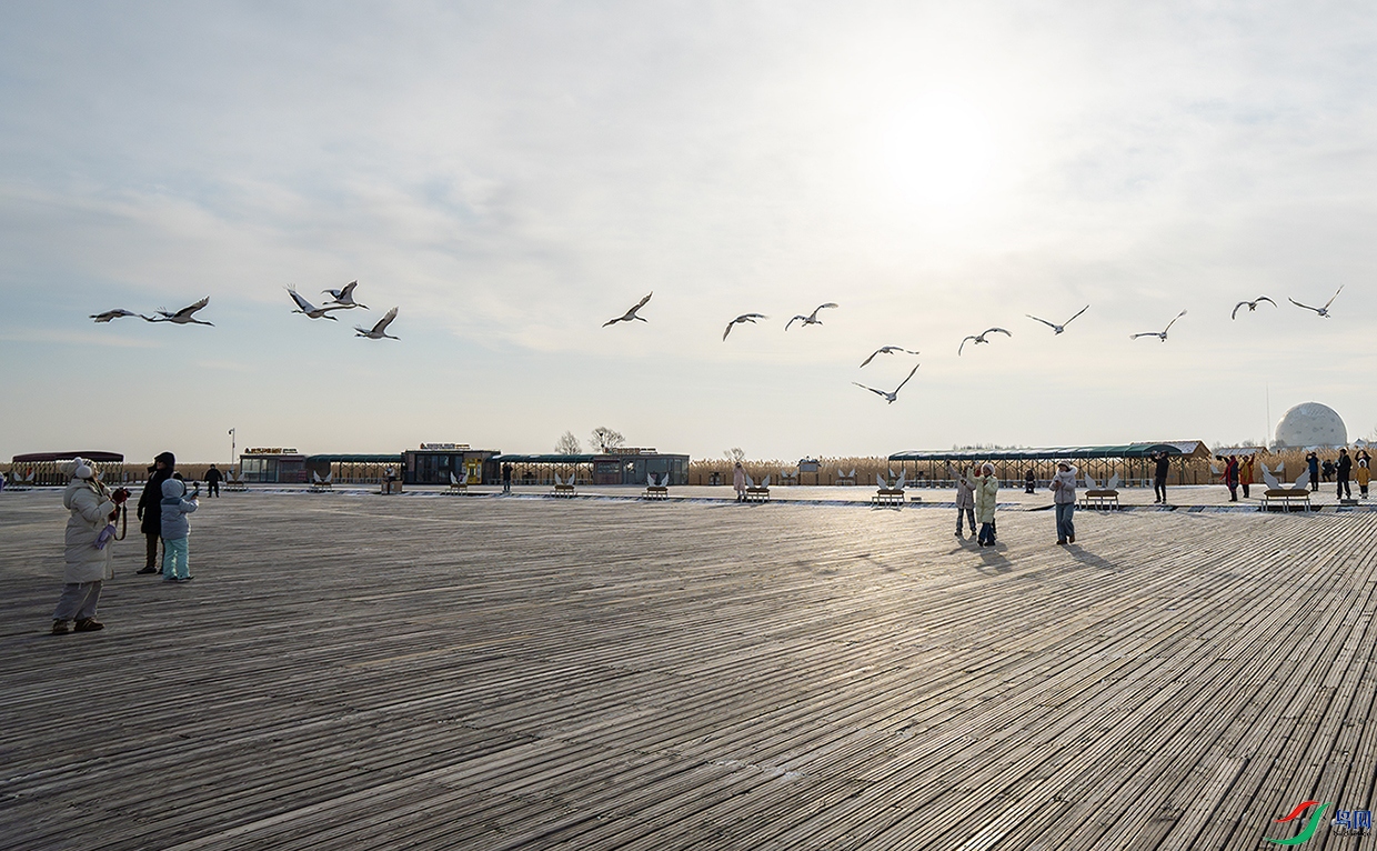 DSC09968-����ǿ-NR ����.jpg