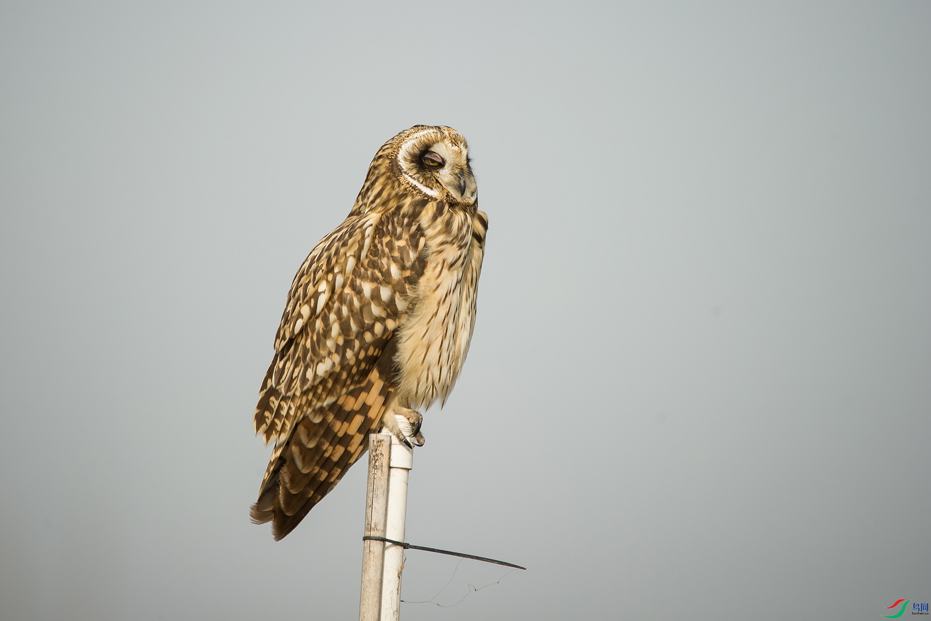 DSC_0310-20201207�ü�.jpg